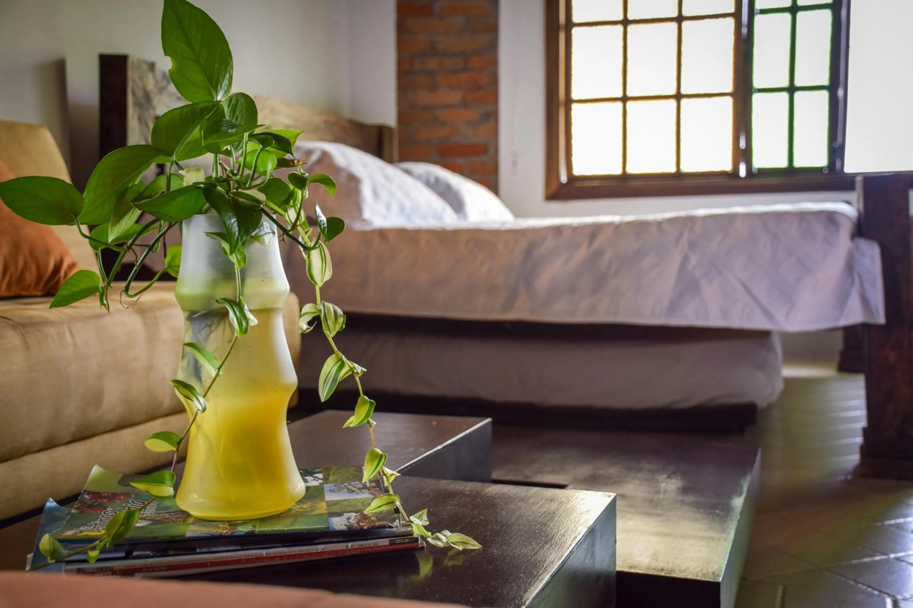 King Studio with Sofa Bed in Finca Hotel Casa Nostra, Villa Manuela