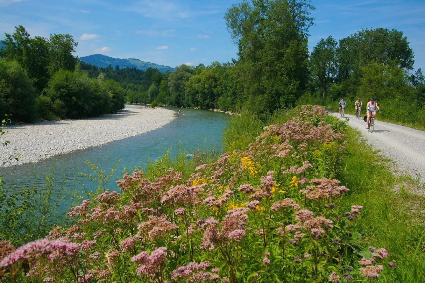 River view in Hotel Peterhof