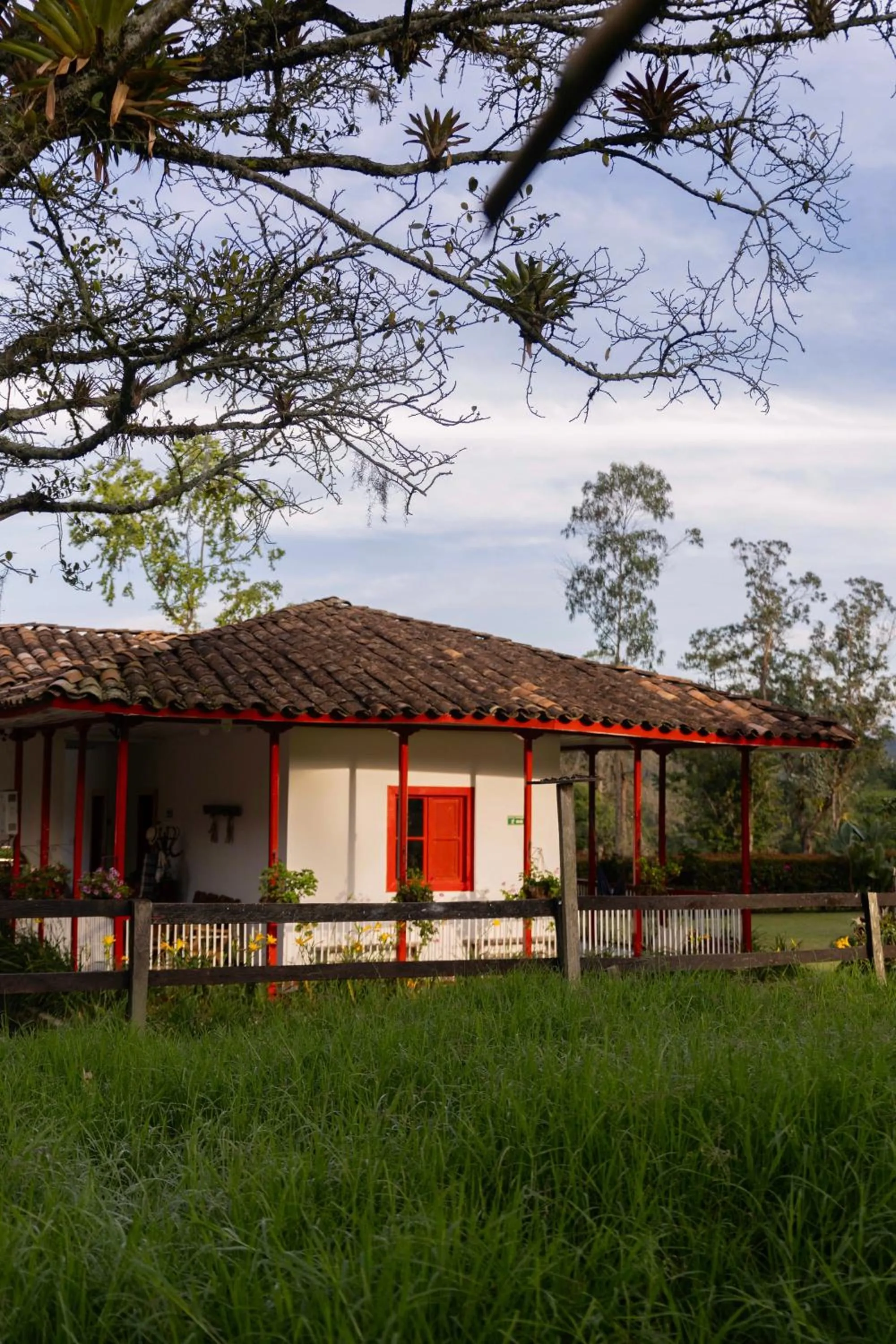 Property building in La Cabaña Ecohotel - Valle del Cocora