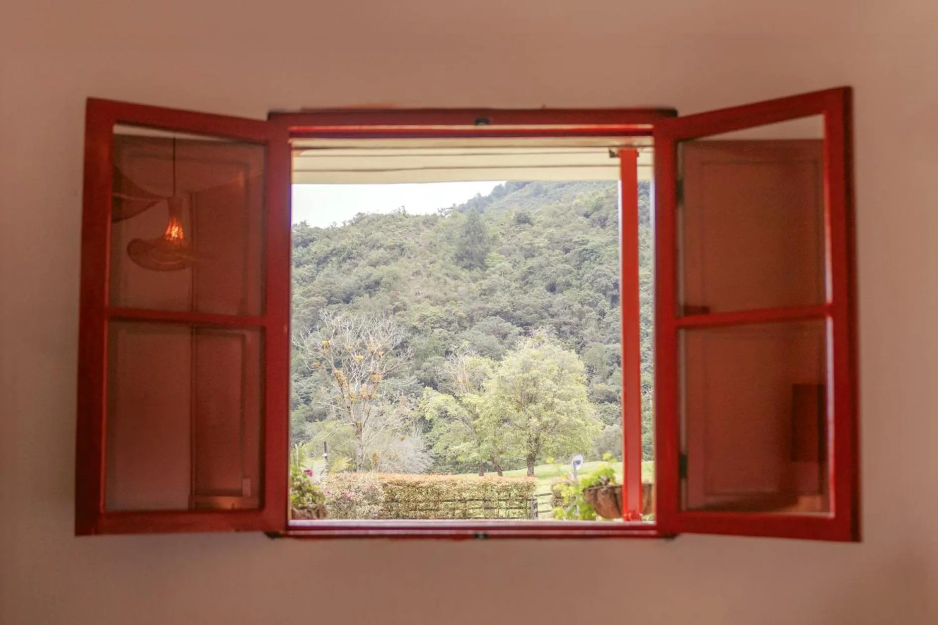 View (from property/room) in La Cabaña Ecohotel - Valle del Cocora