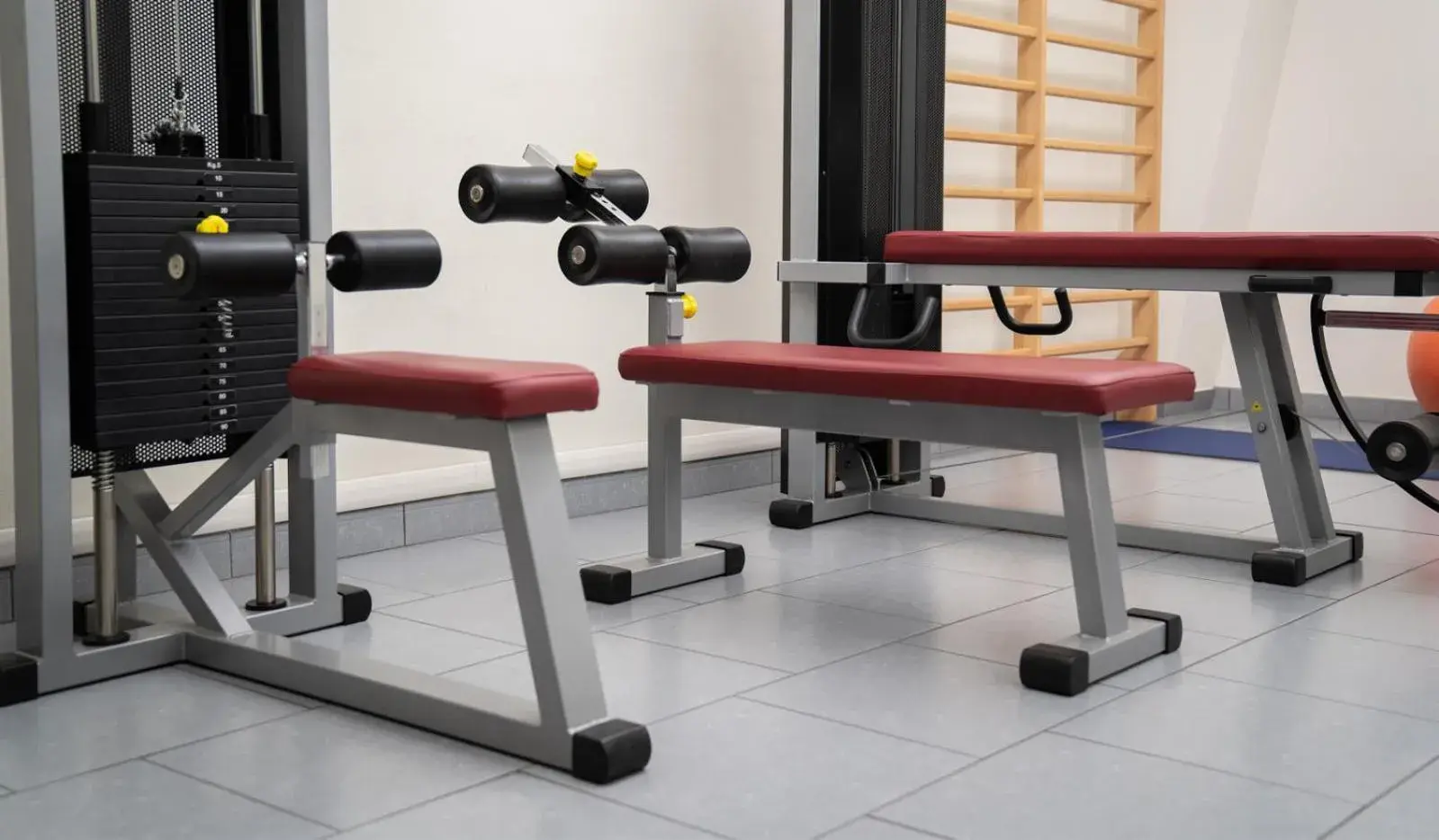 Fitness centre/facilities in Hotel Pergola Fitness centre/facilities in Hotel Pergola