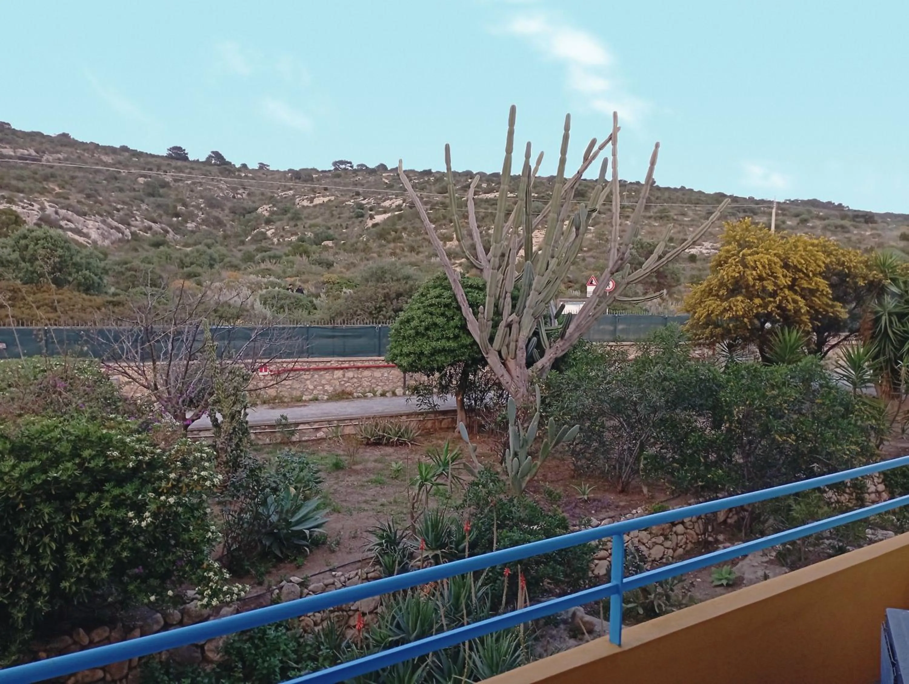 Garden view in Hotel Calamosca