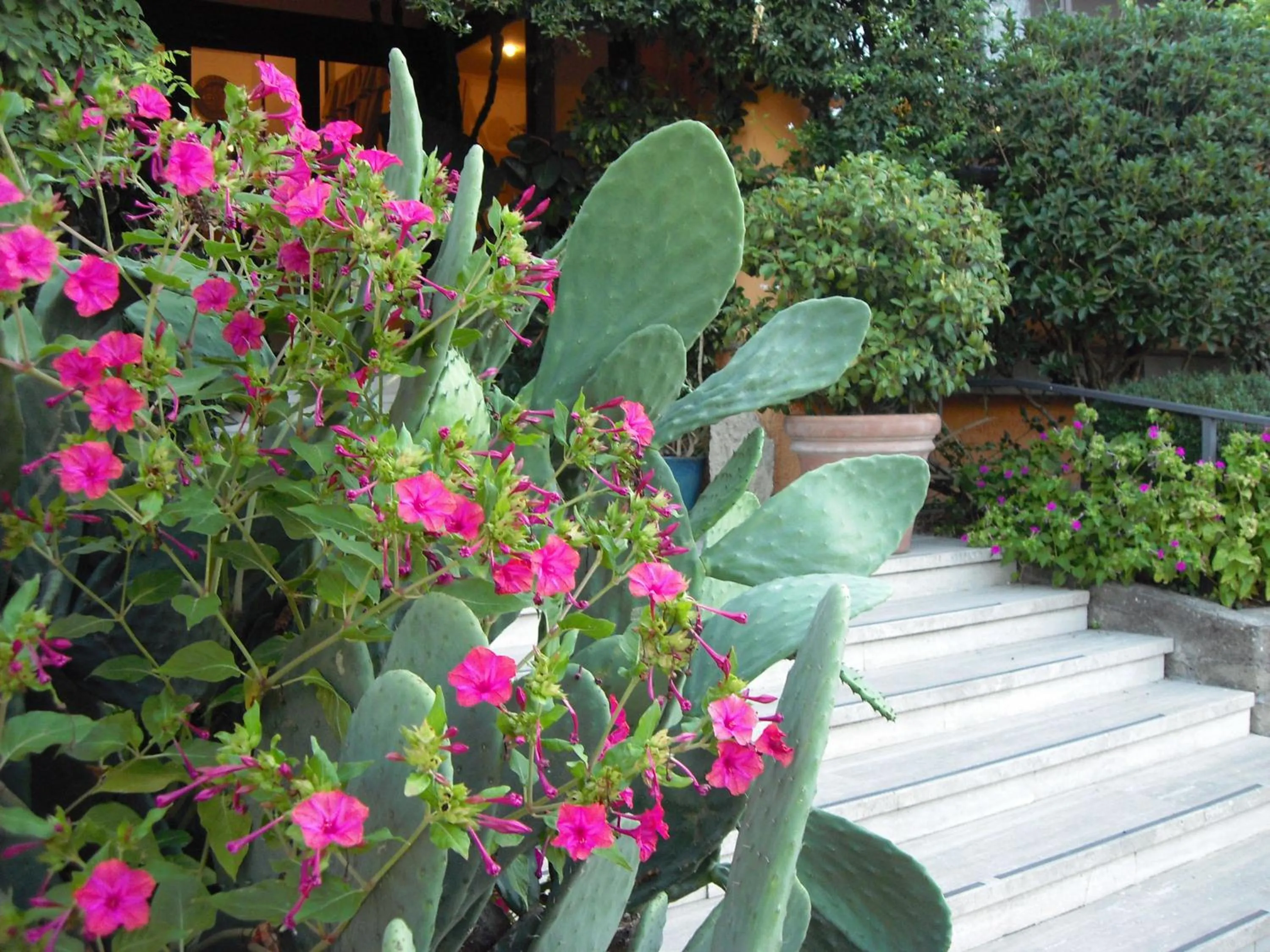 Other in Hotel Il Casale