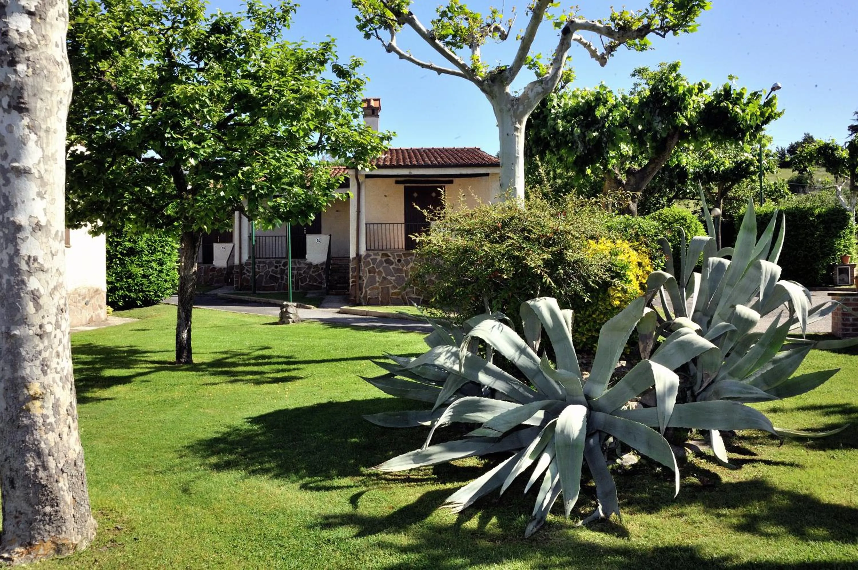 Garden in Hotel Il Casale