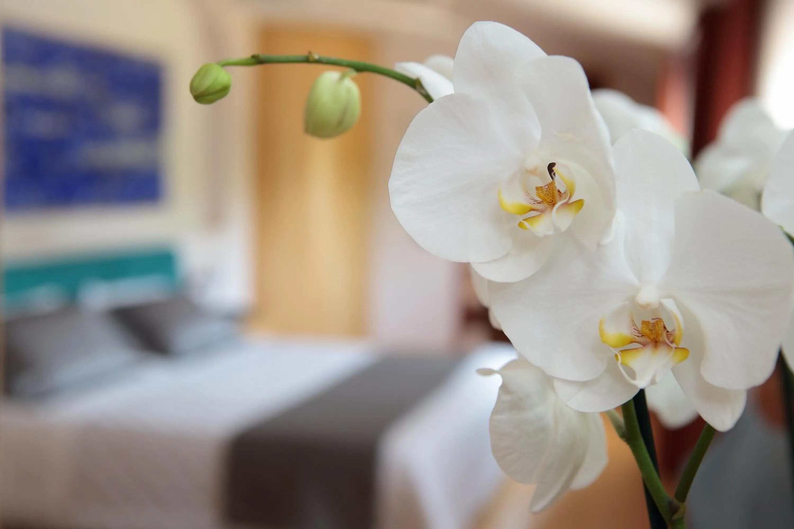 Bed in Hotel Contà Taste The Experience