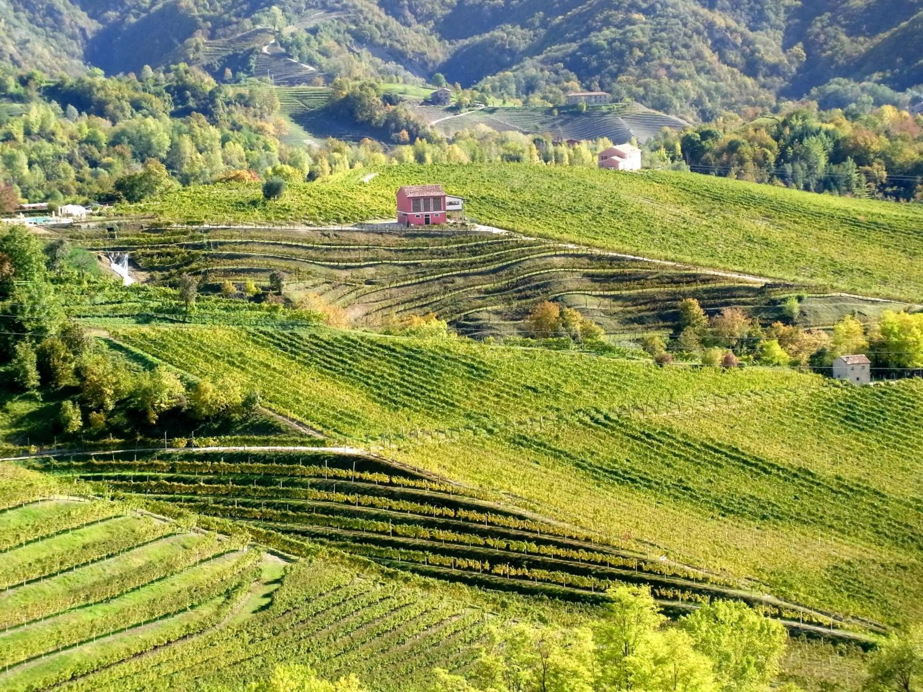 Natural landscape in Hotel Contà Taste The Experience