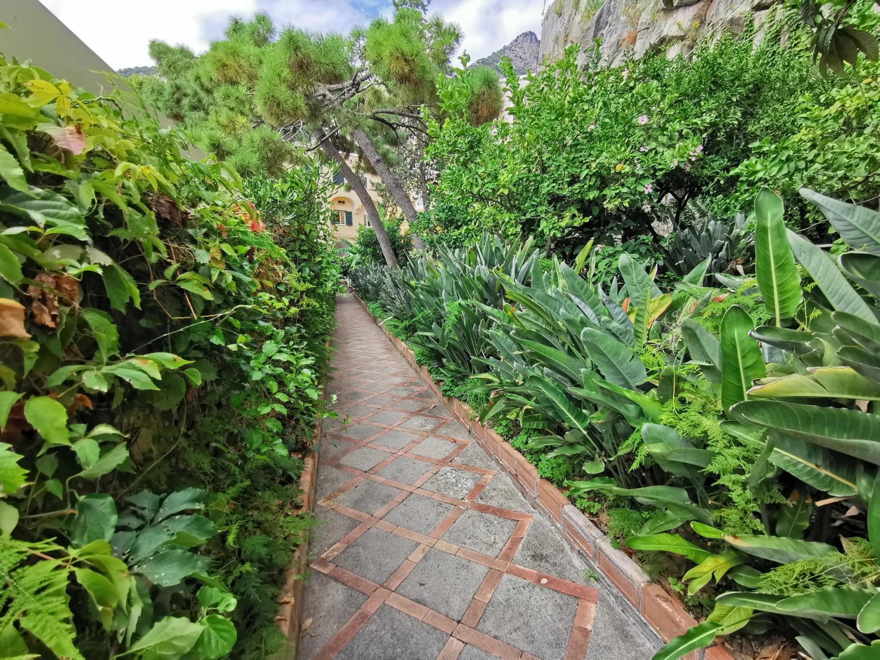 Garden in La Caravella di Positano - Relais, Beach & Residences