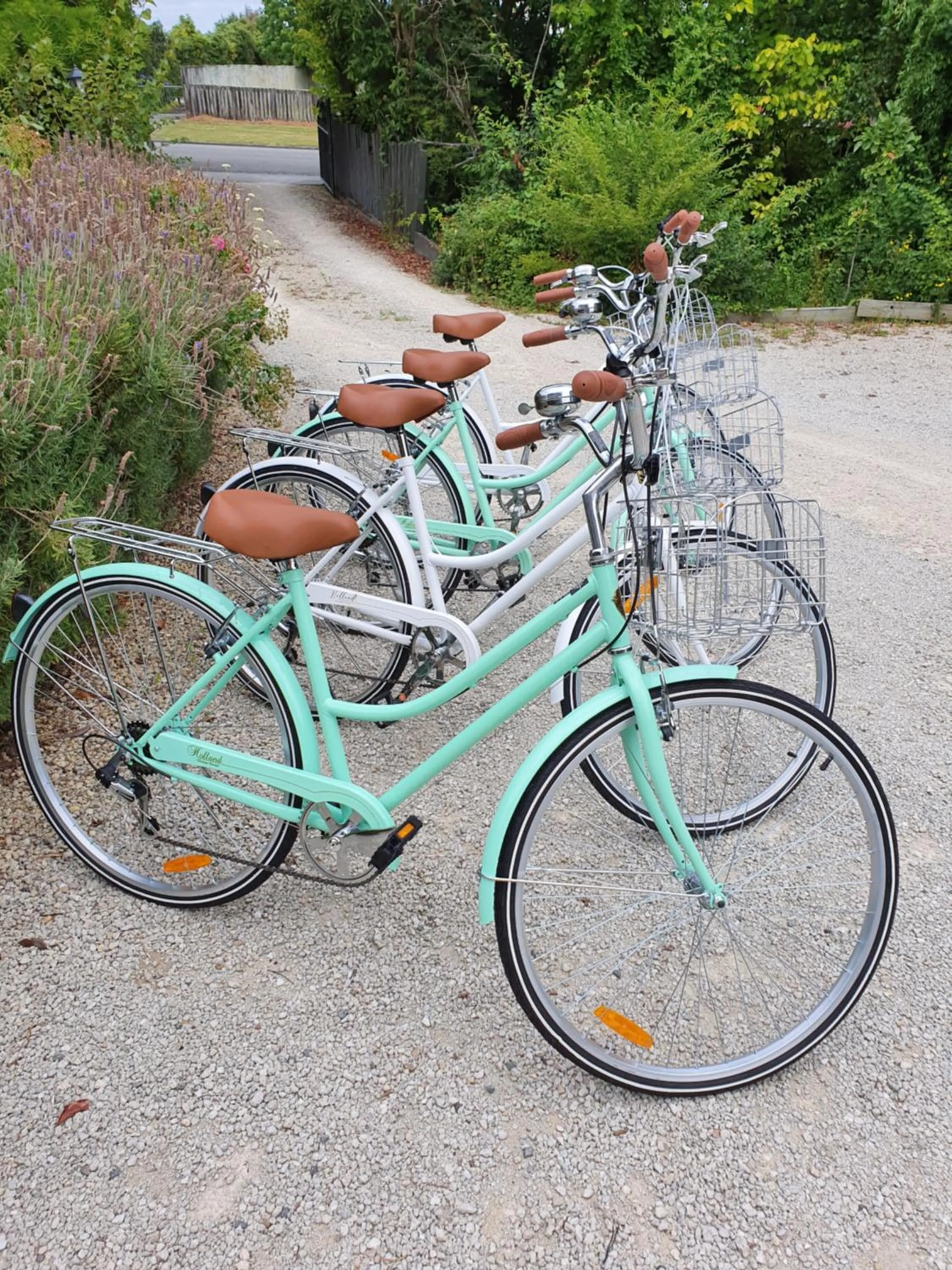 Activities in Swan House