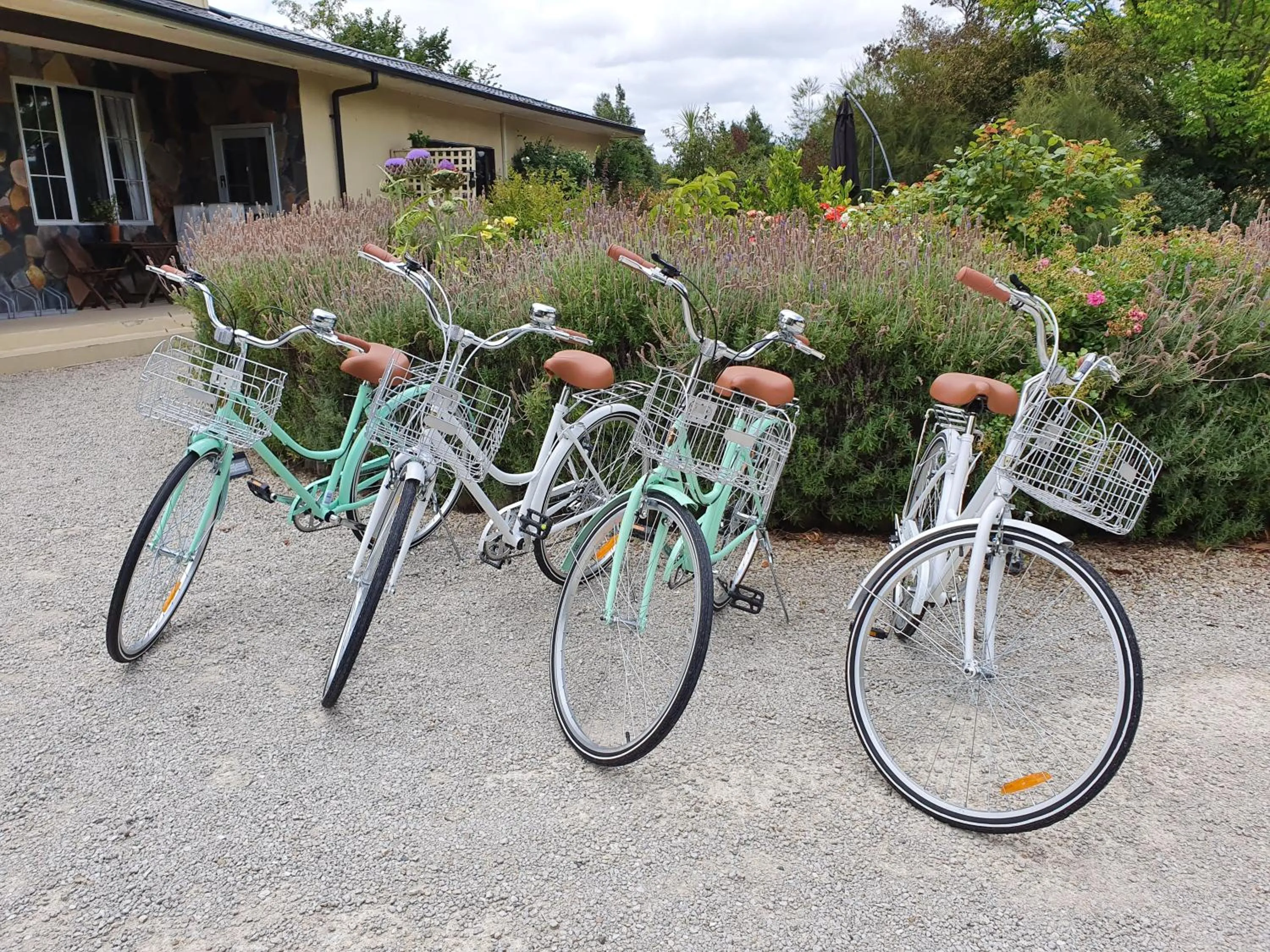 Activities in Swan House