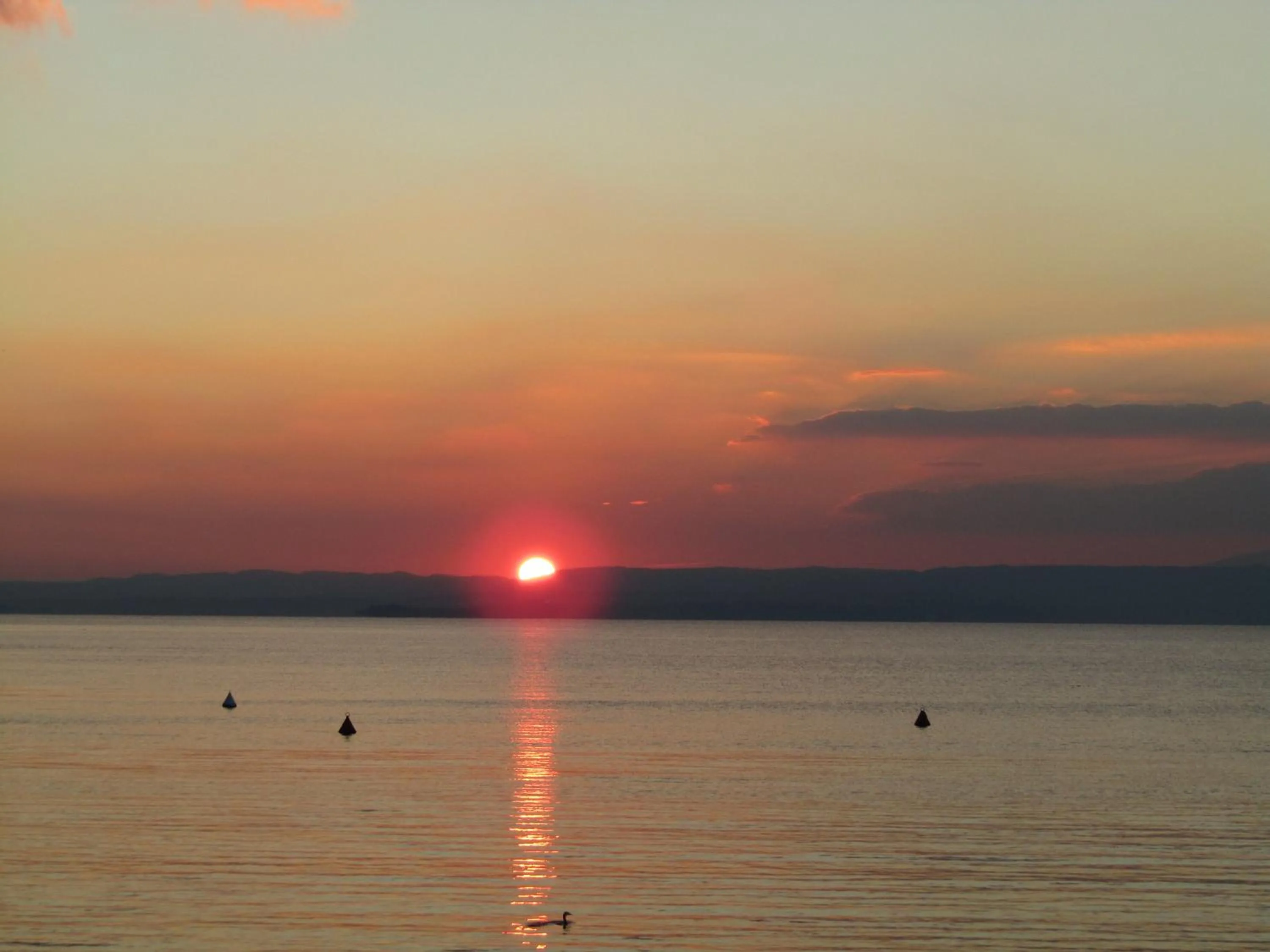 On site in Hotel Menapace