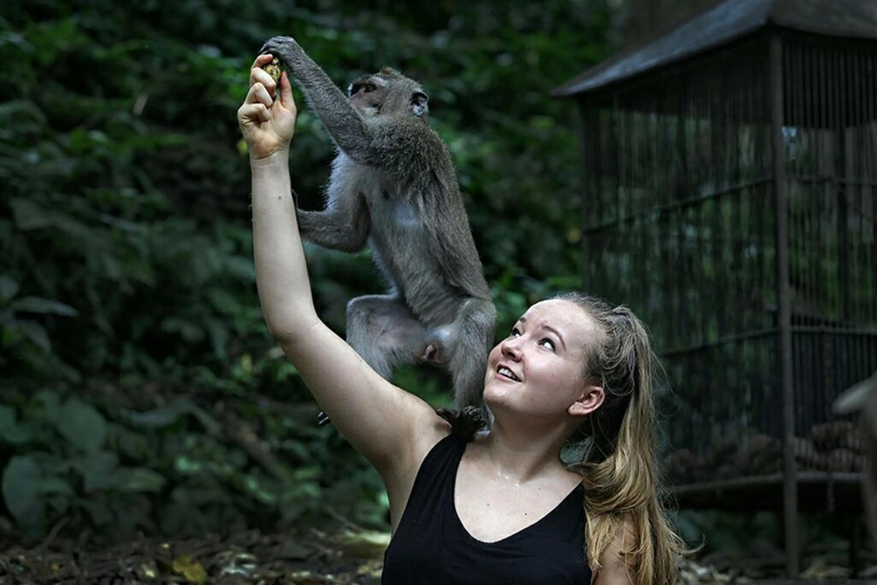 Entertainment in Tetirah Boutique Hotel