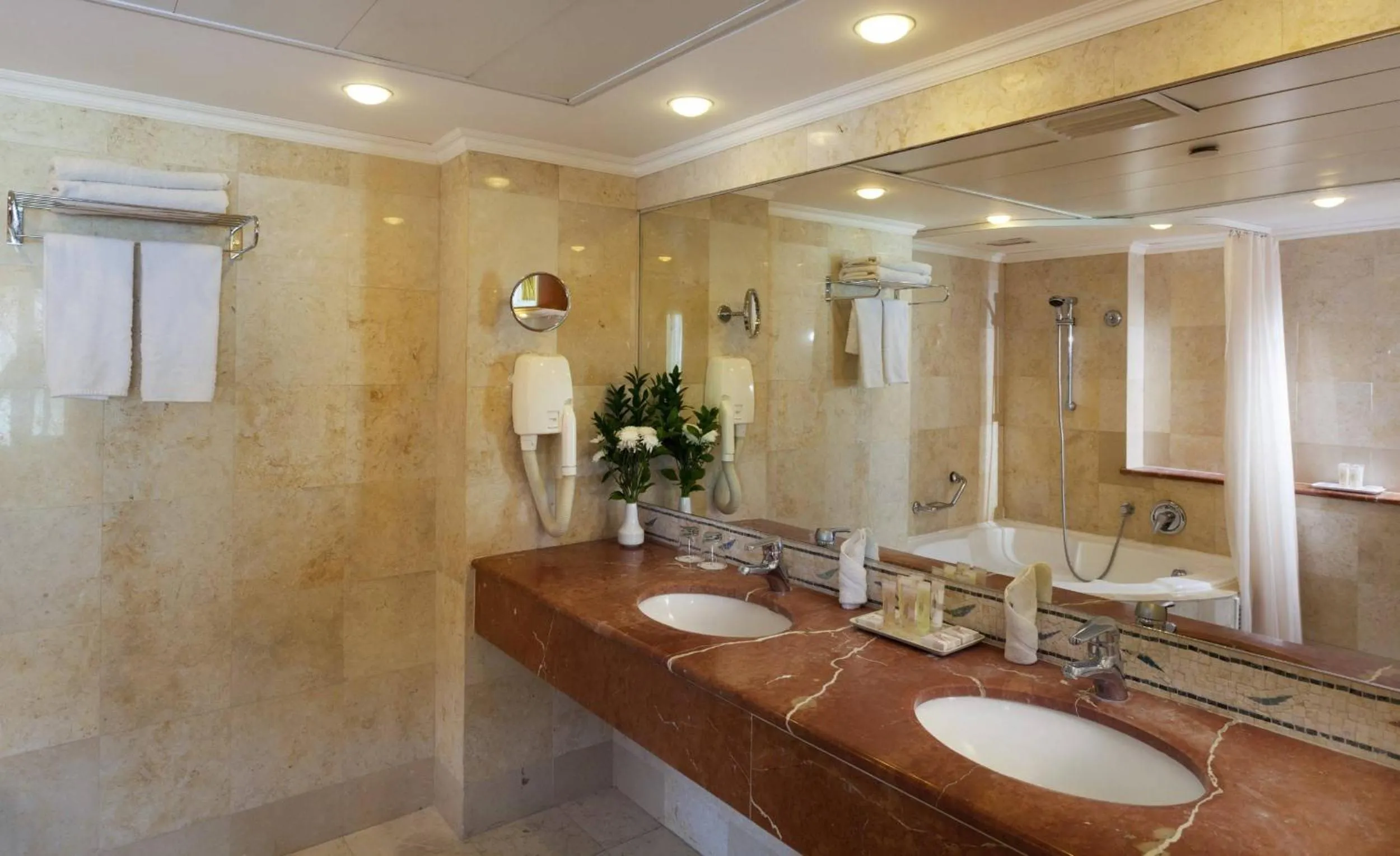Bathroom in Brown Dead Sea By Brown Hotels