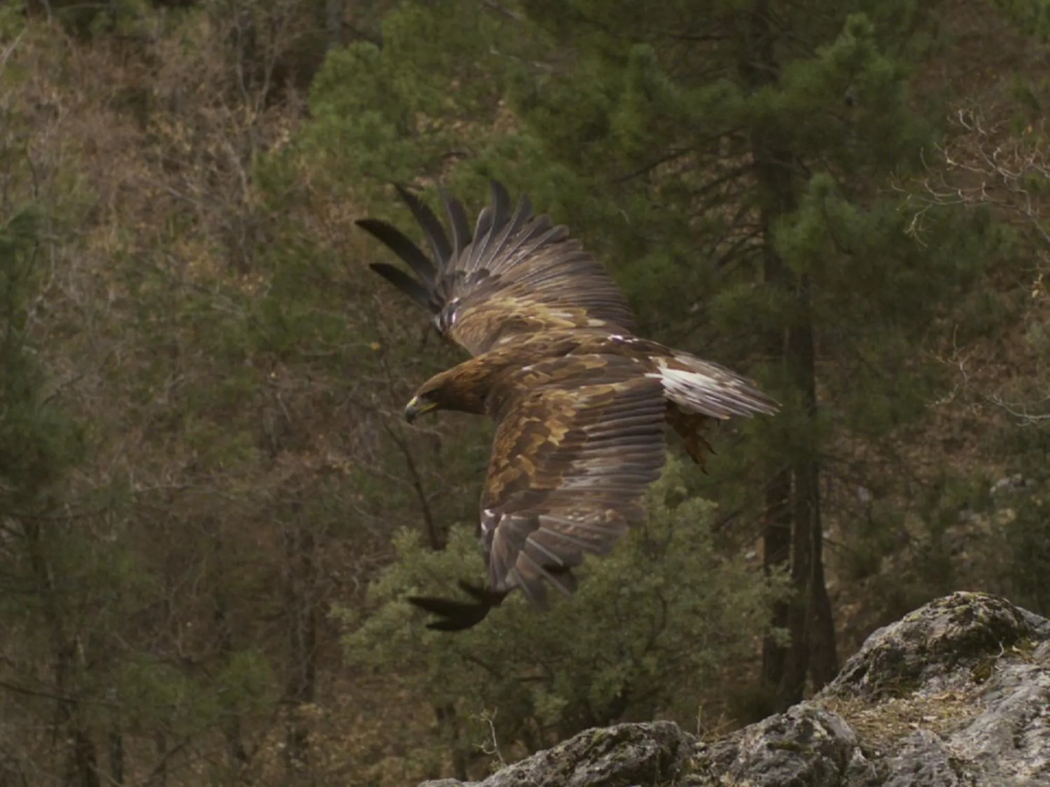 Other in Apartamentos Rurales Campillo