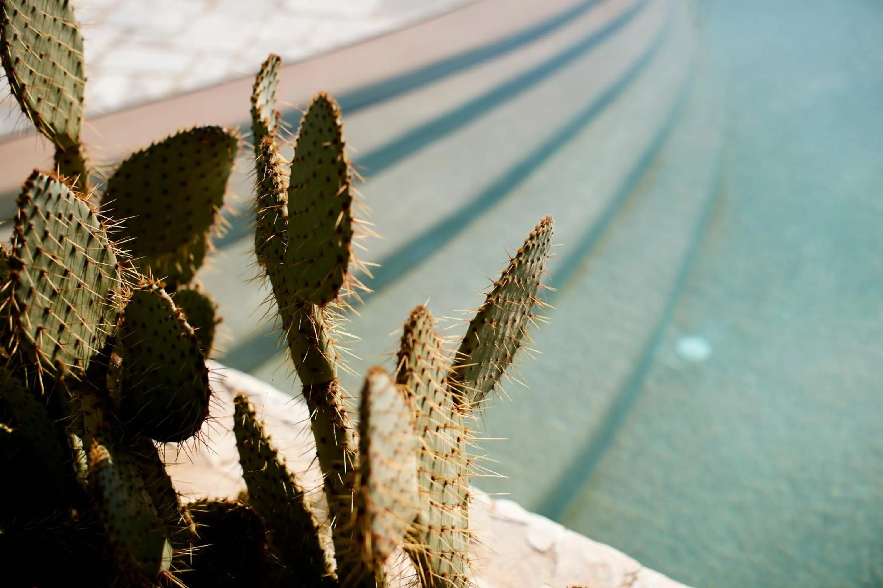 Activities in Echi di Puglia