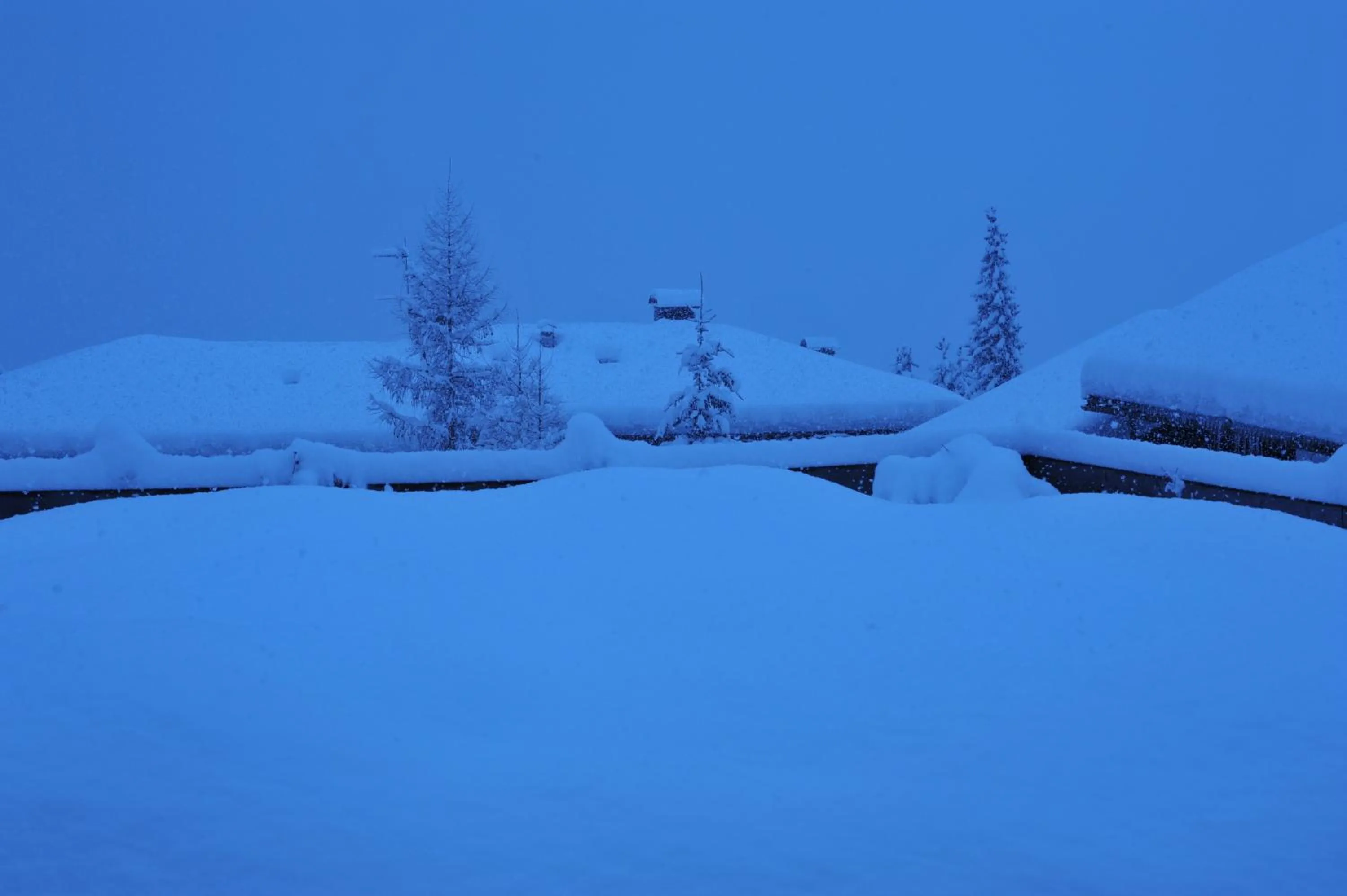 Garden view in Hotel Garnì Carpe Diem