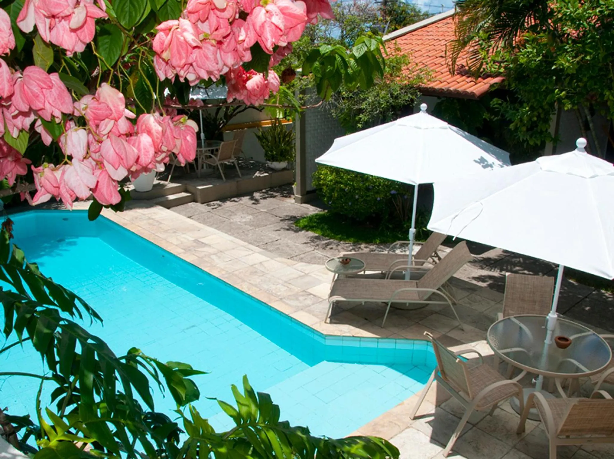 Garden in Pousada Castanheira