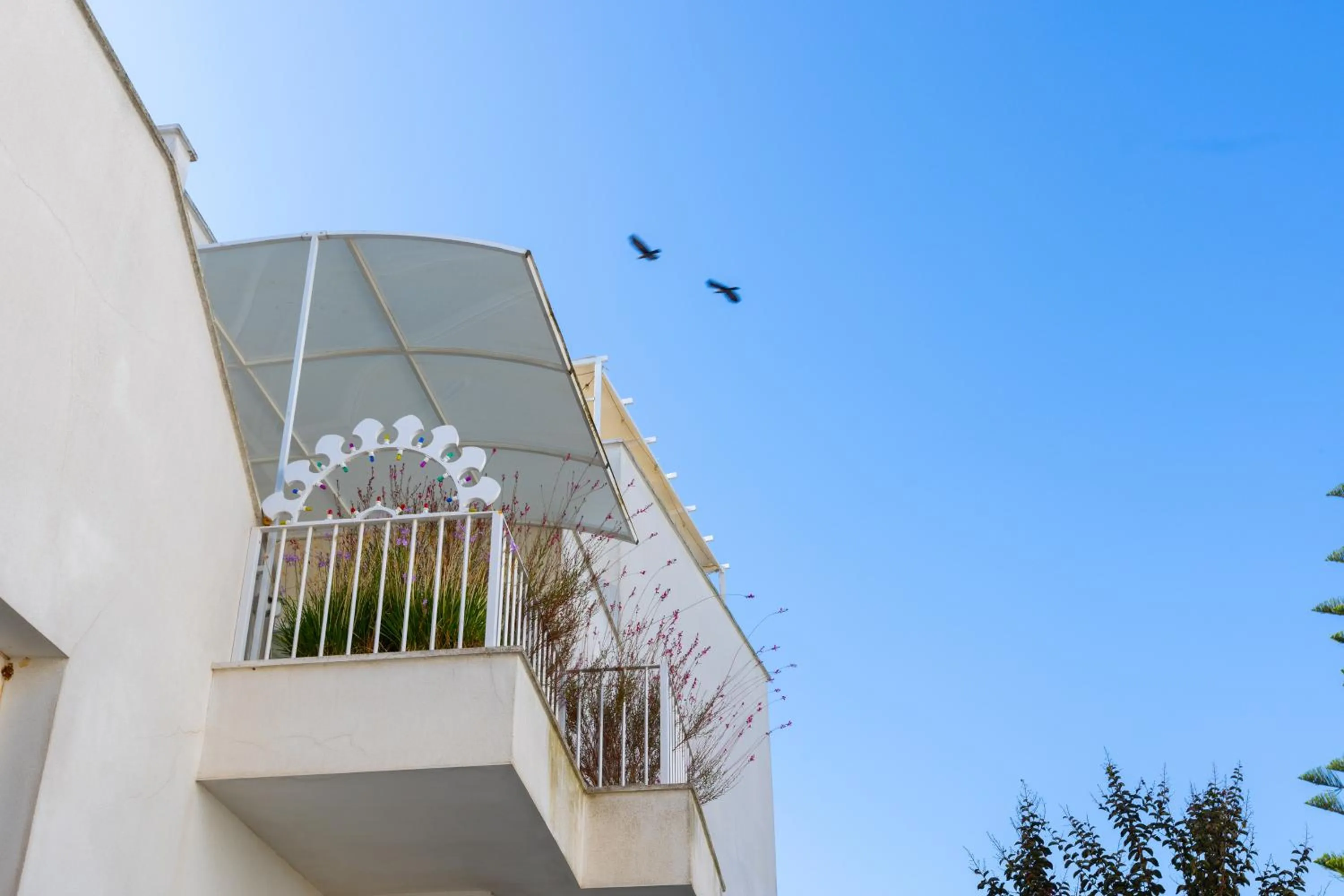 Property building in La Loggetta