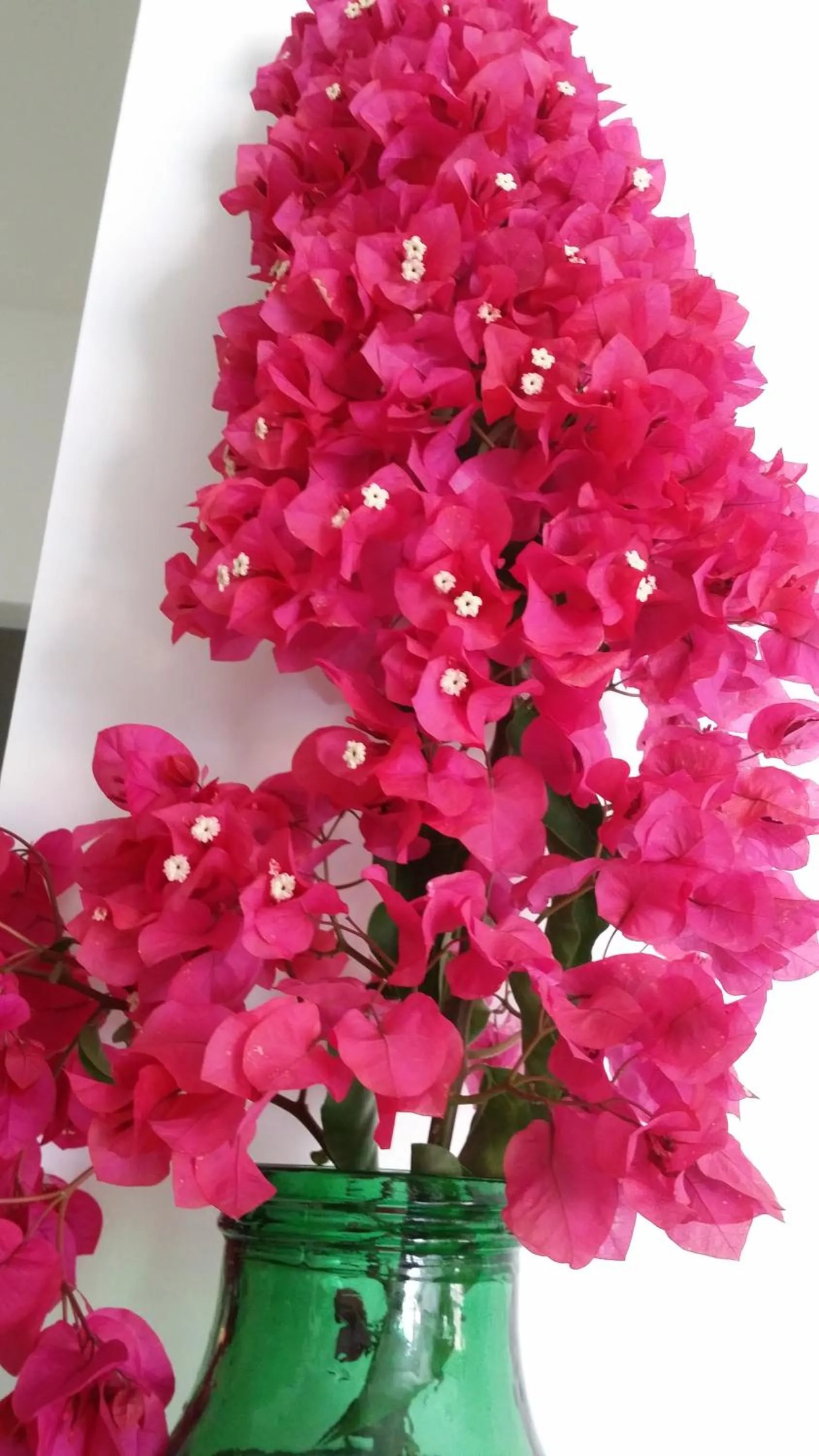 Other in La Zagara Hotel