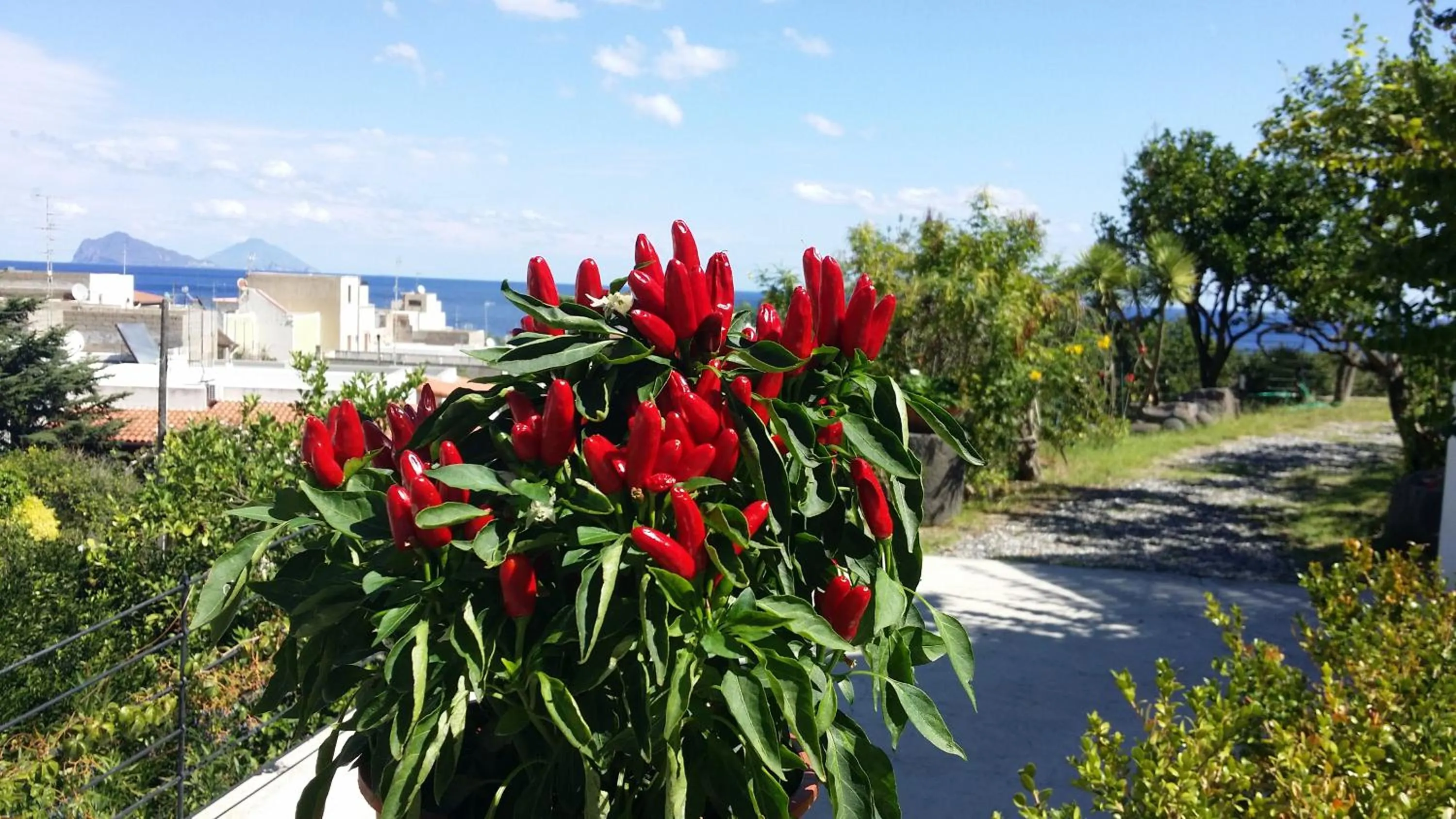 Garden in La Zagara Hotel