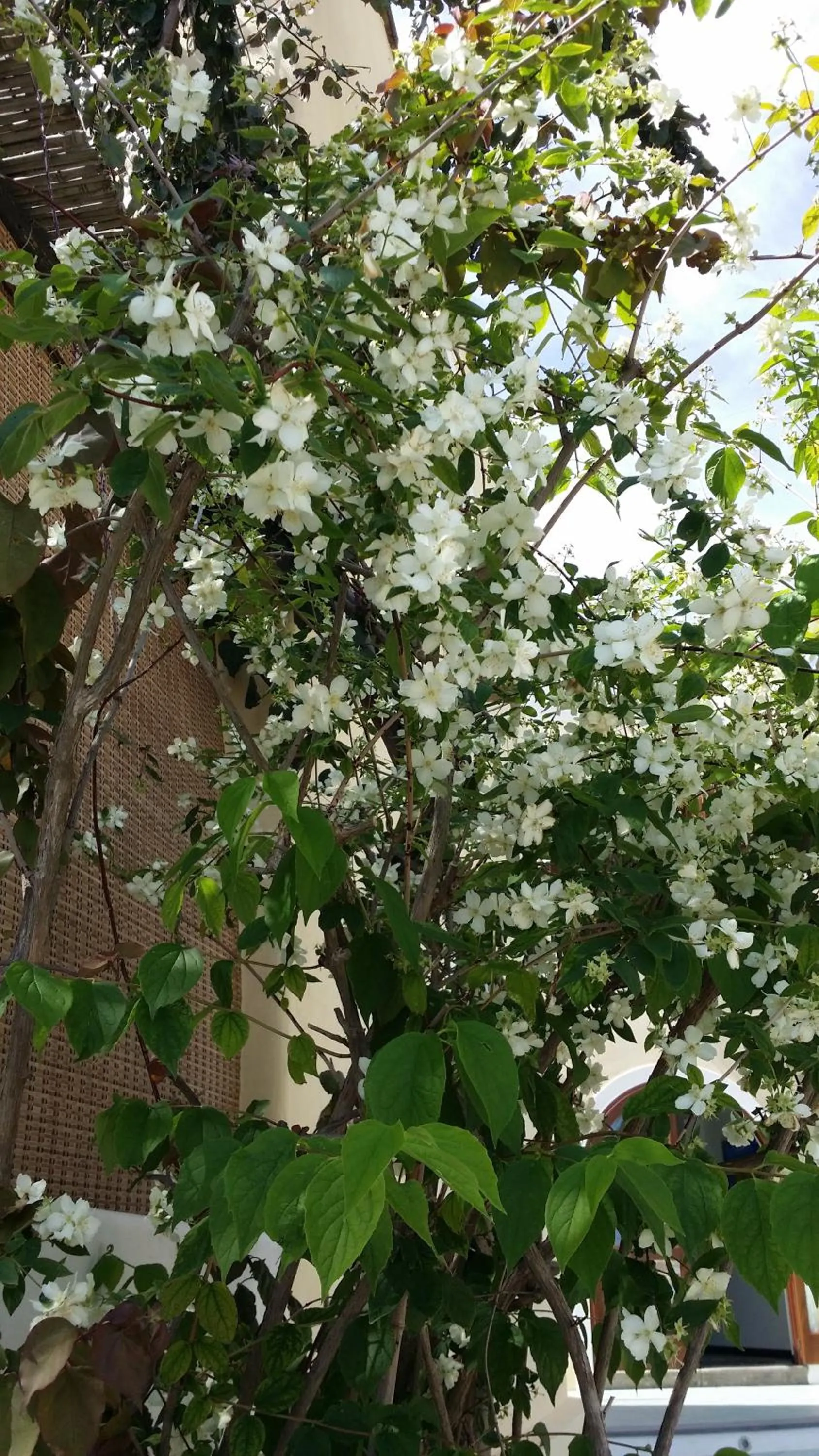 Other in La Zagara Hotel