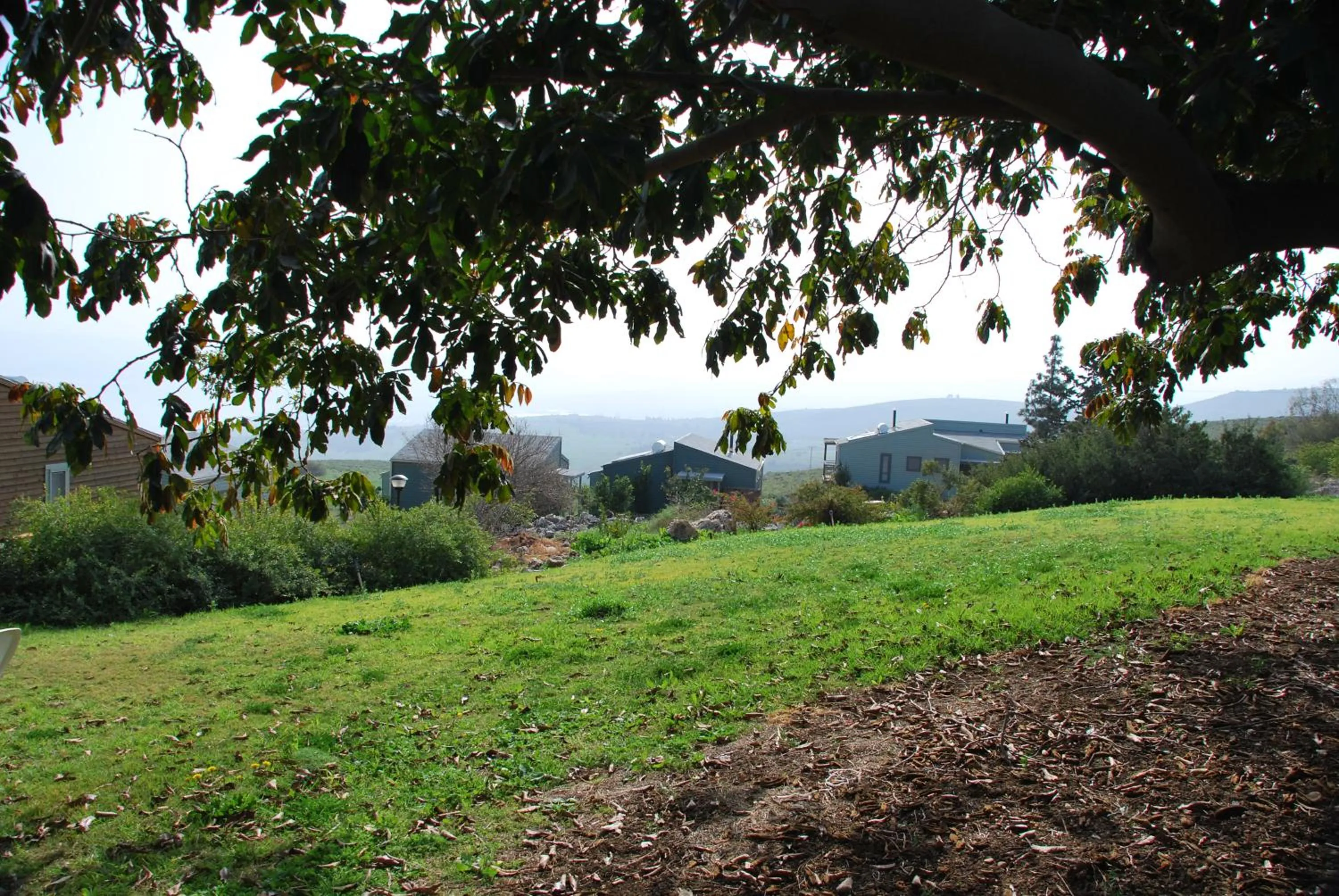 Garden in Vered Hagalil Holiday Village Hotel