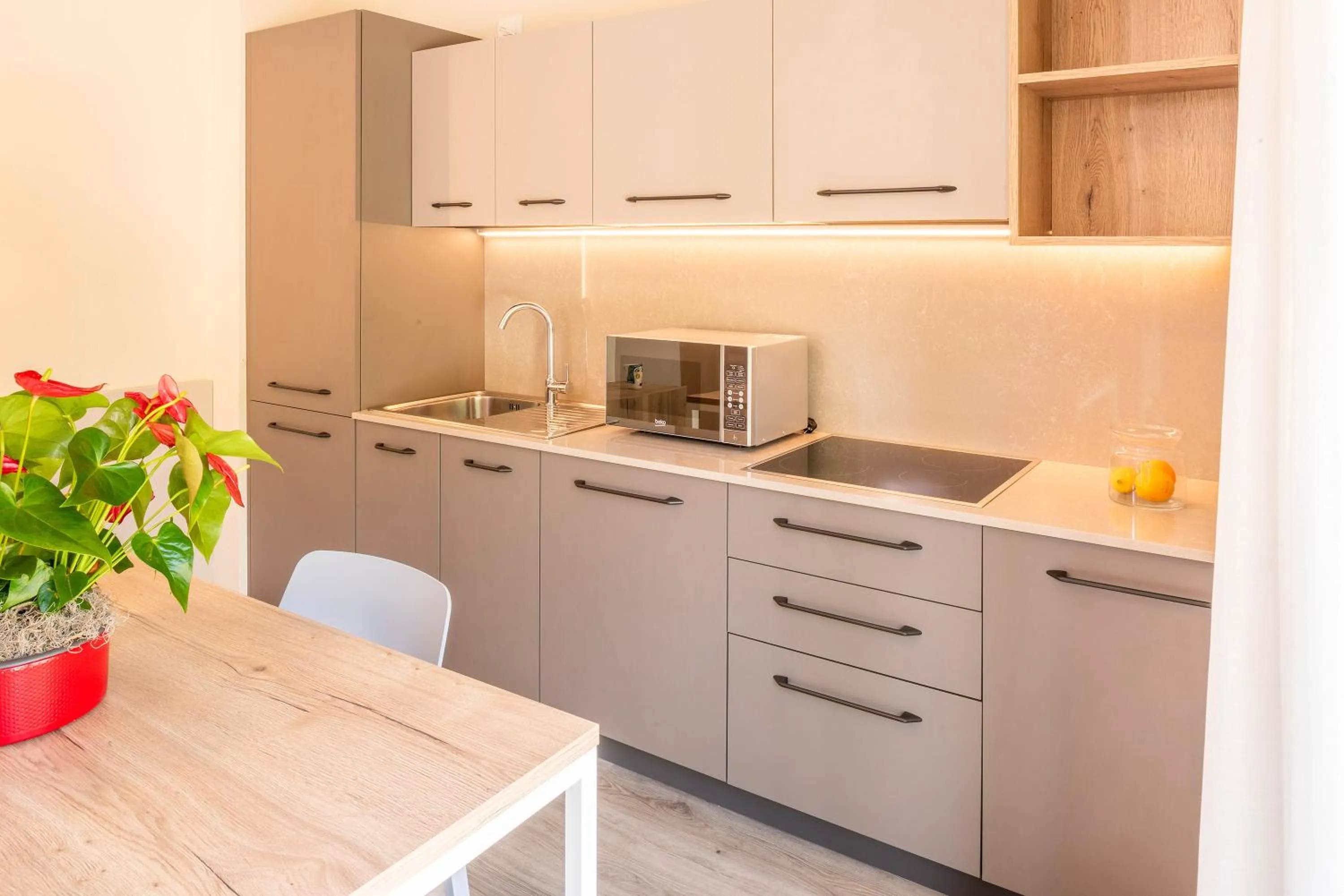 Kitchen or kitchenette in Residence Parco Del Garda