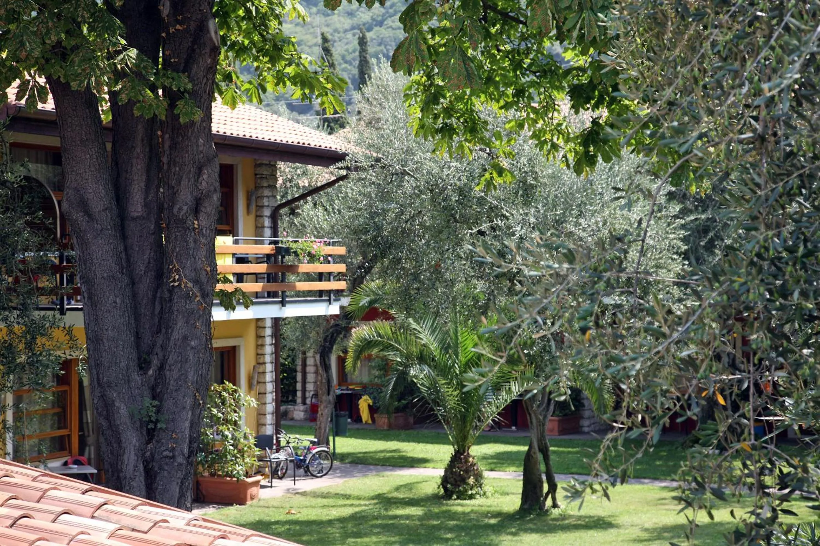 Garden in Hotel Sailing Center