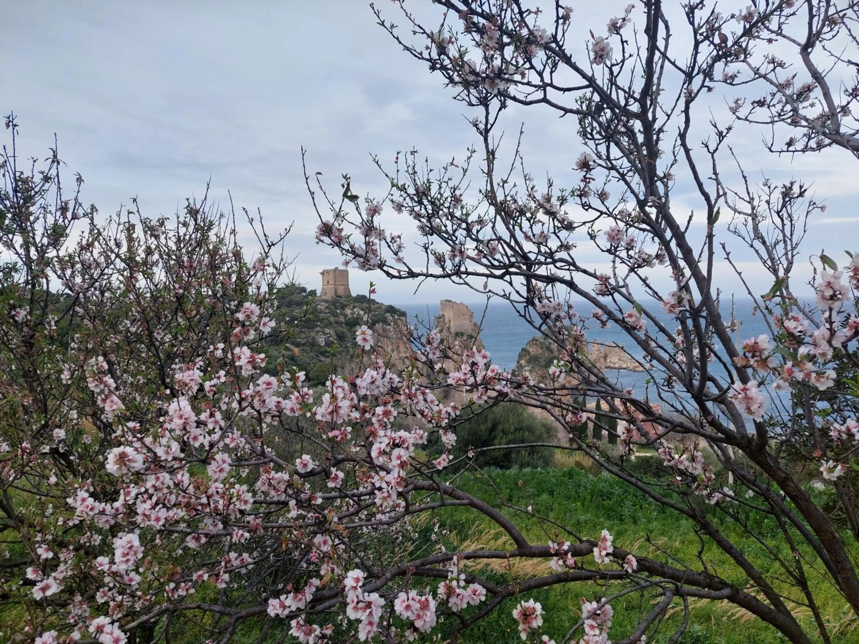 Natural landscape in Piccola Baia