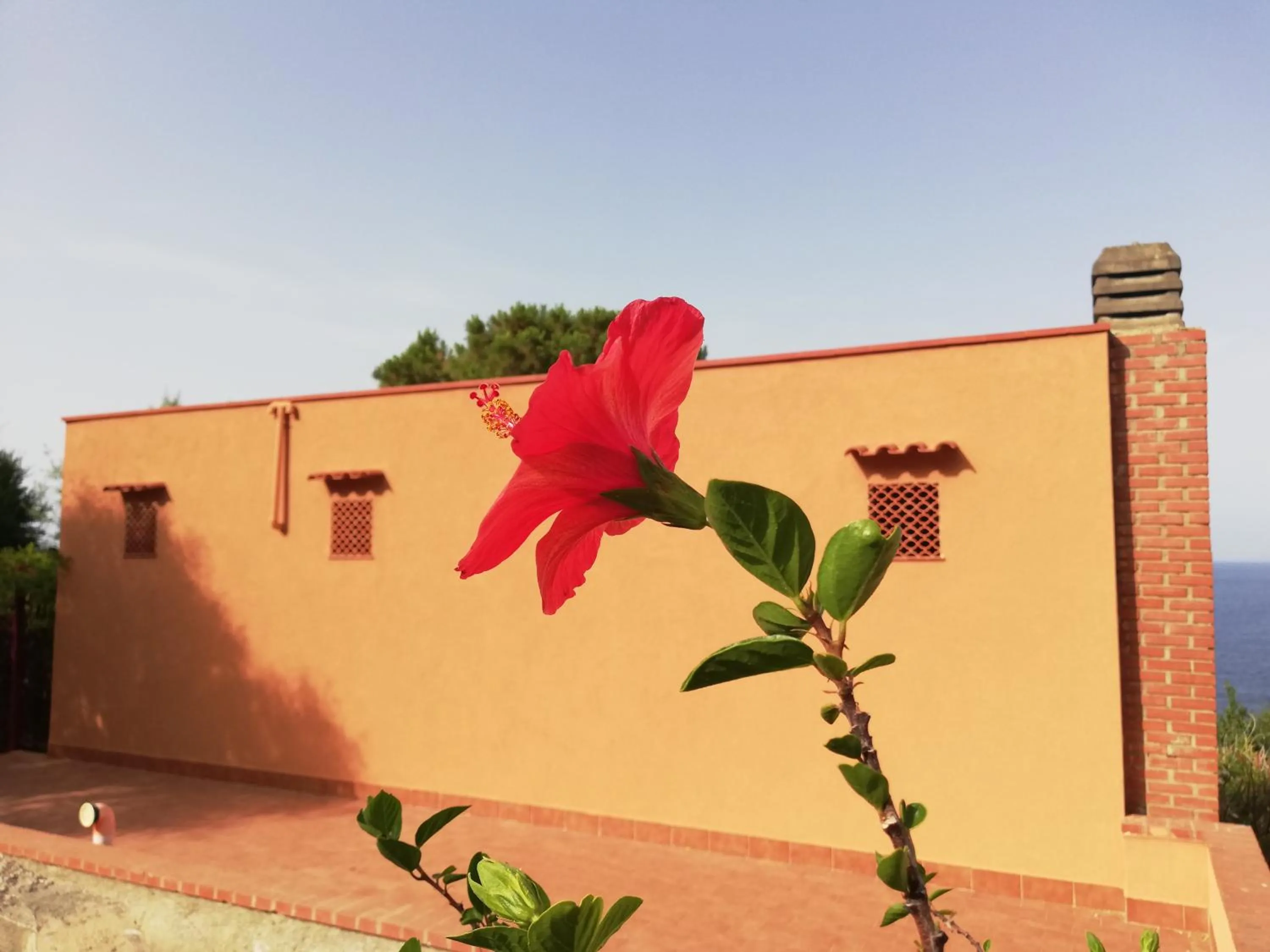 Property building in Piccola Baia