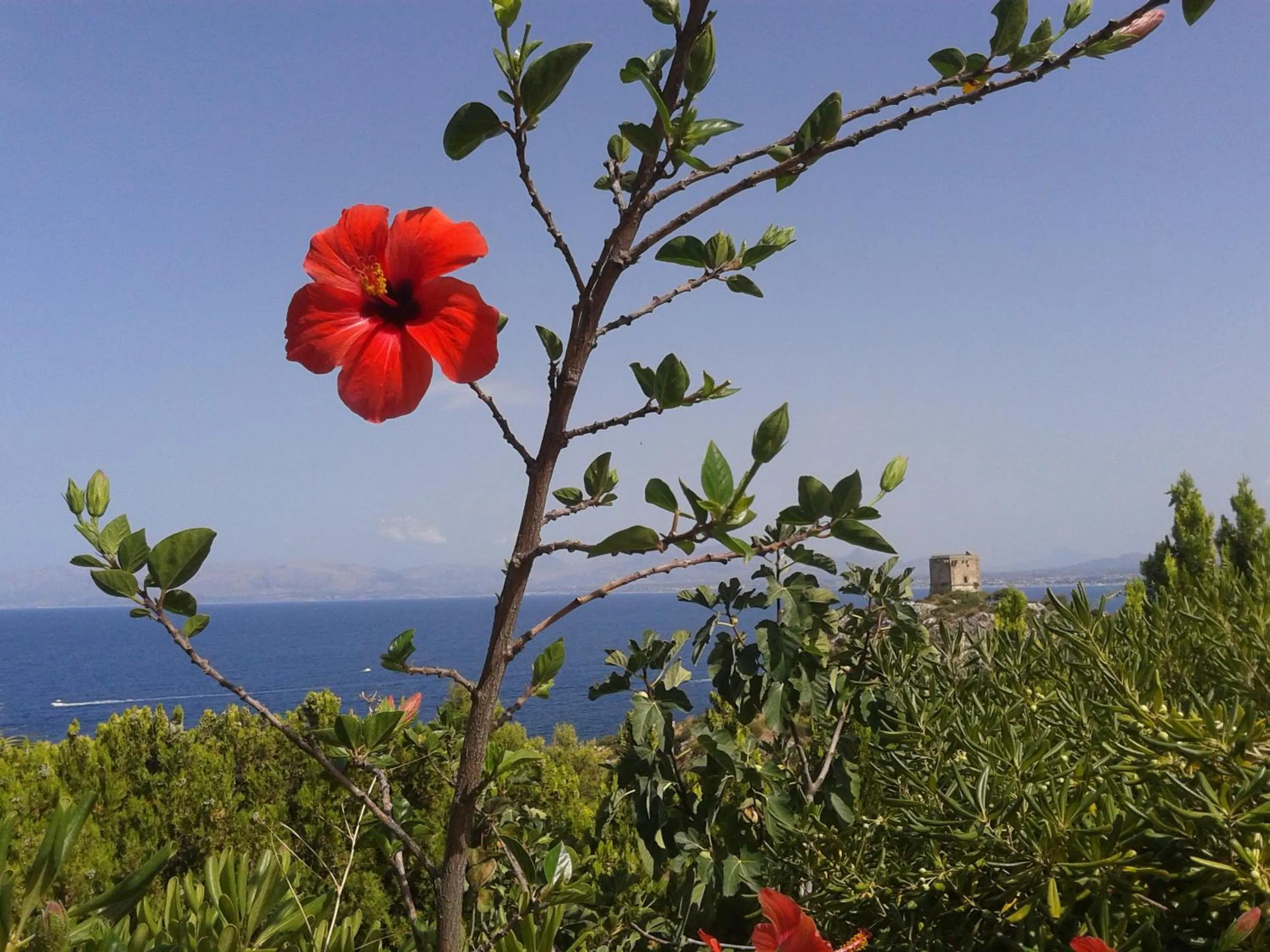 View (from property/room) in Piccola Baia
