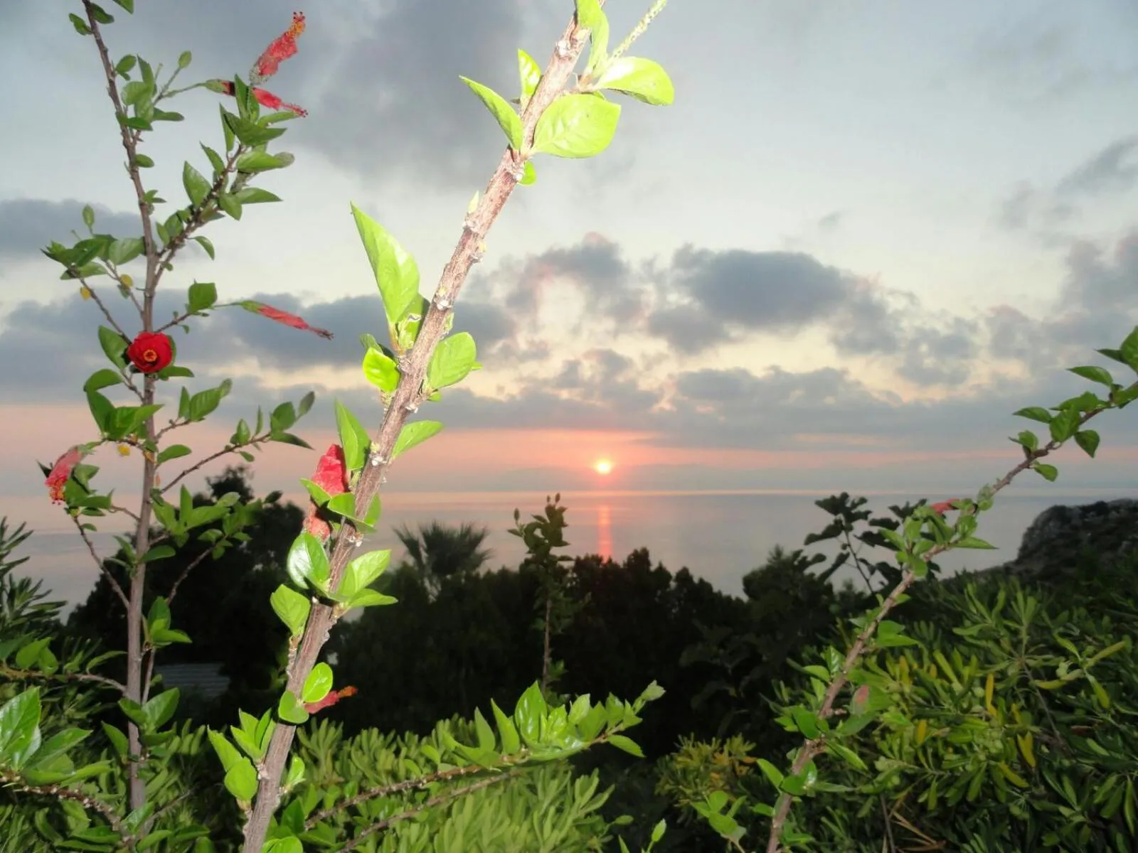 View (from property/room) in Piccola Baia