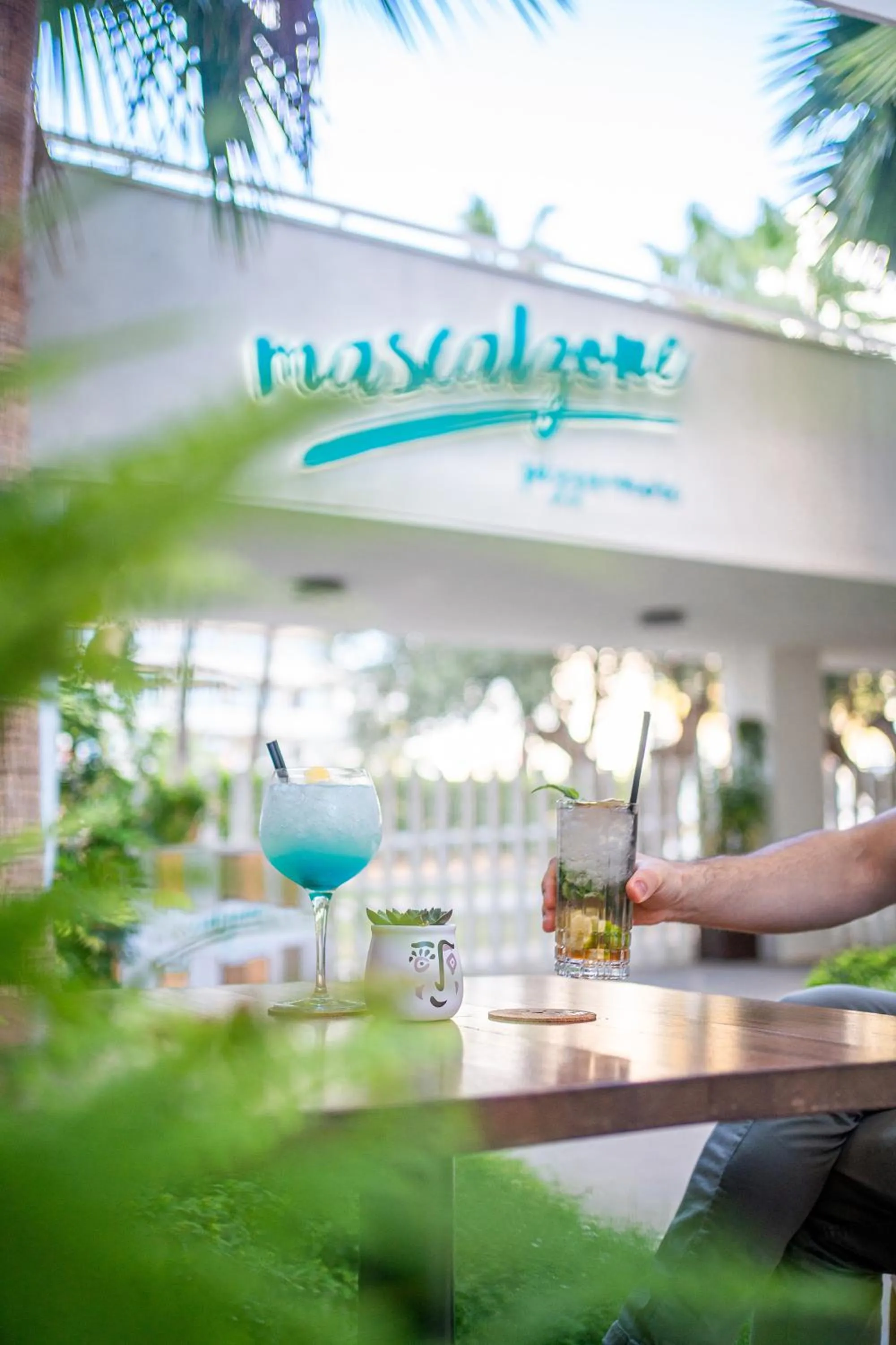 Drinks in INNSiDE by Meliá Alcudia