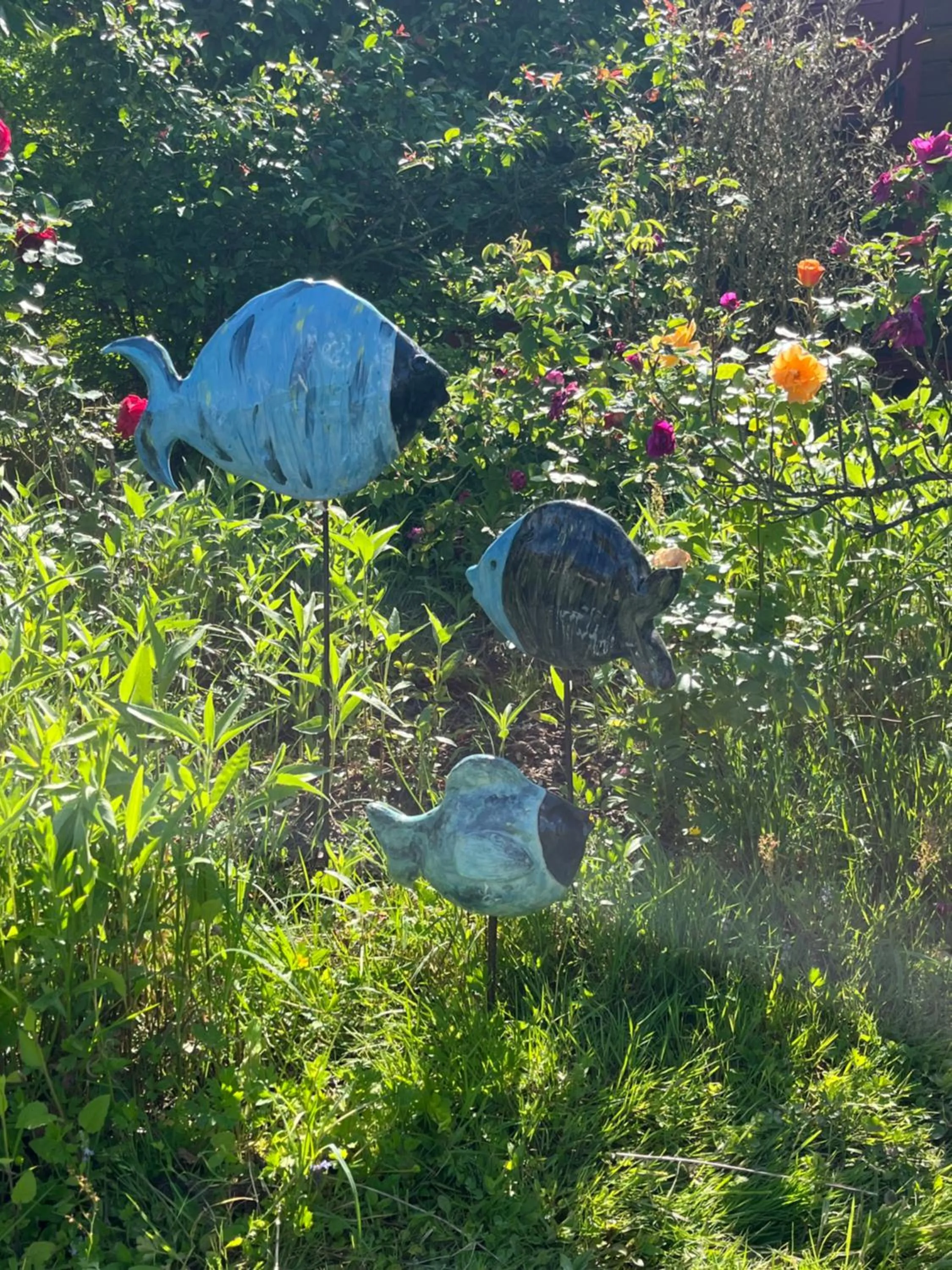 chambres d'hôtes le Boyer