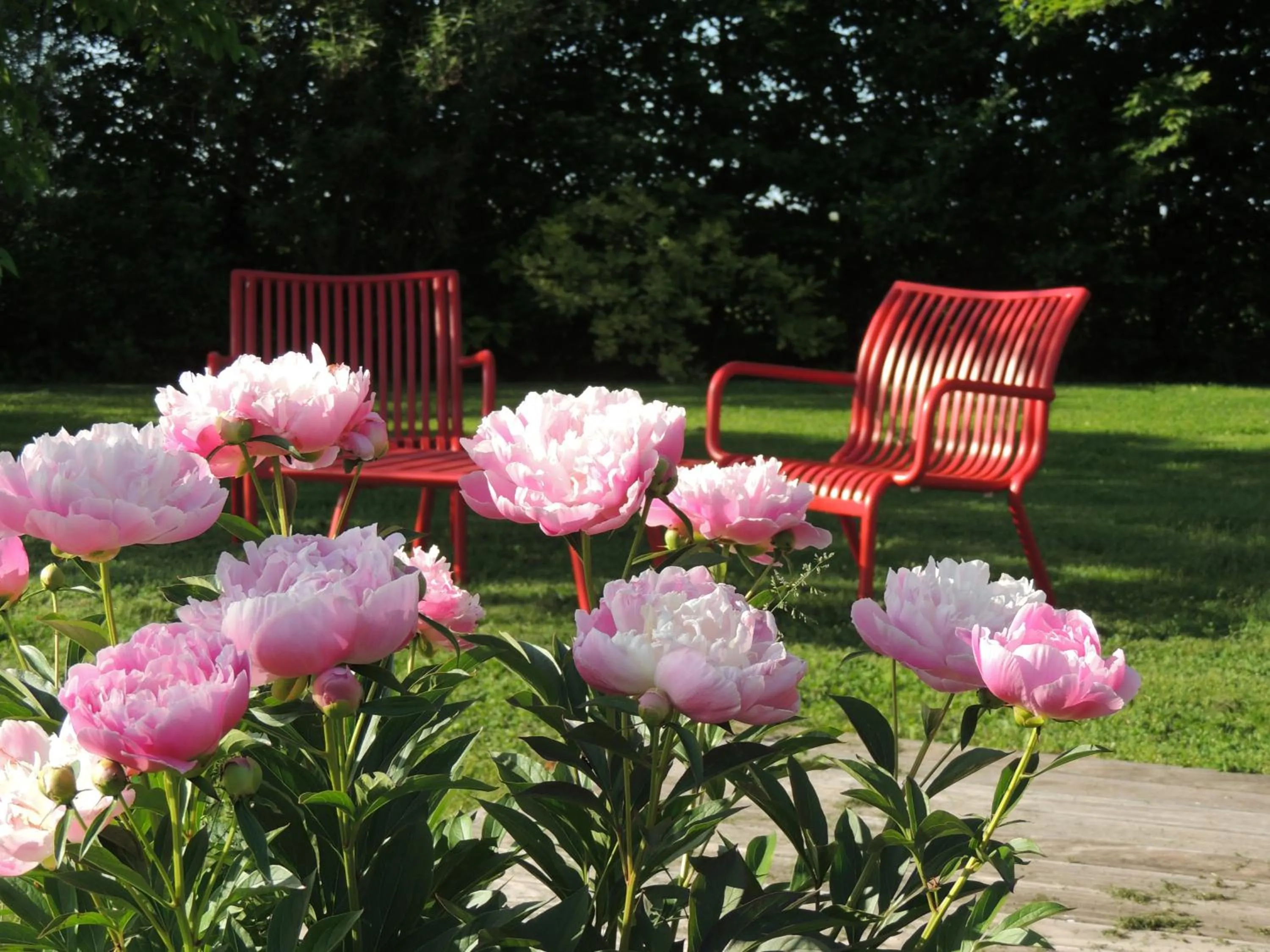 chambres d'hôtes le Boyer