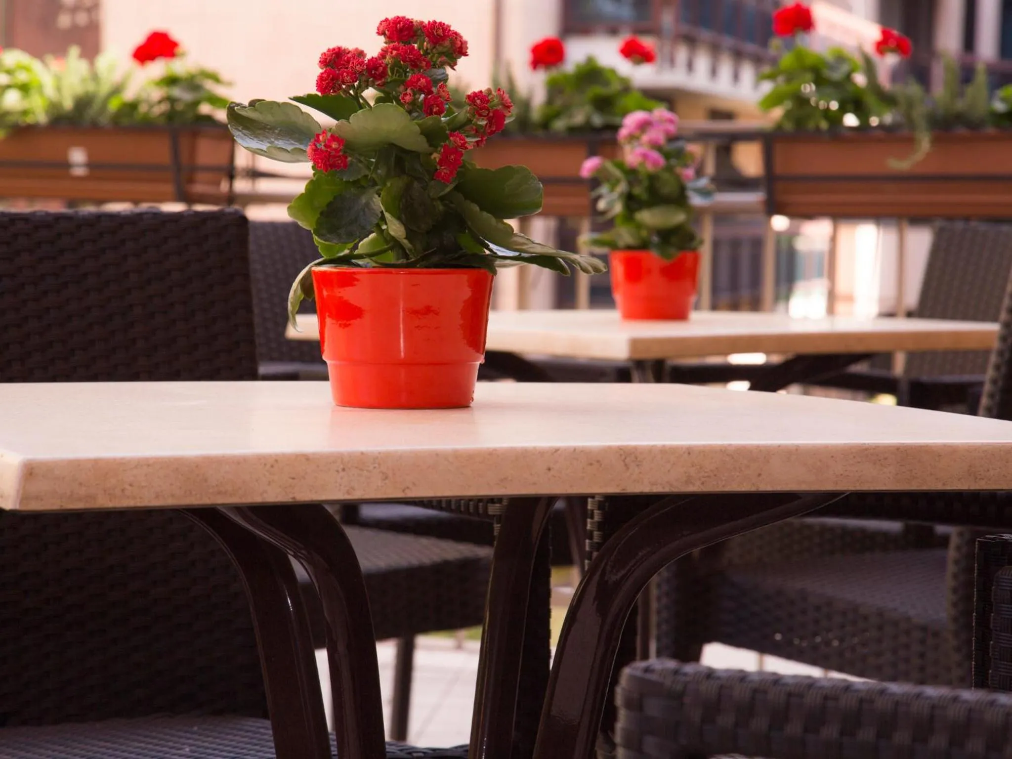 Balcony/Terrace in Hotel Regina