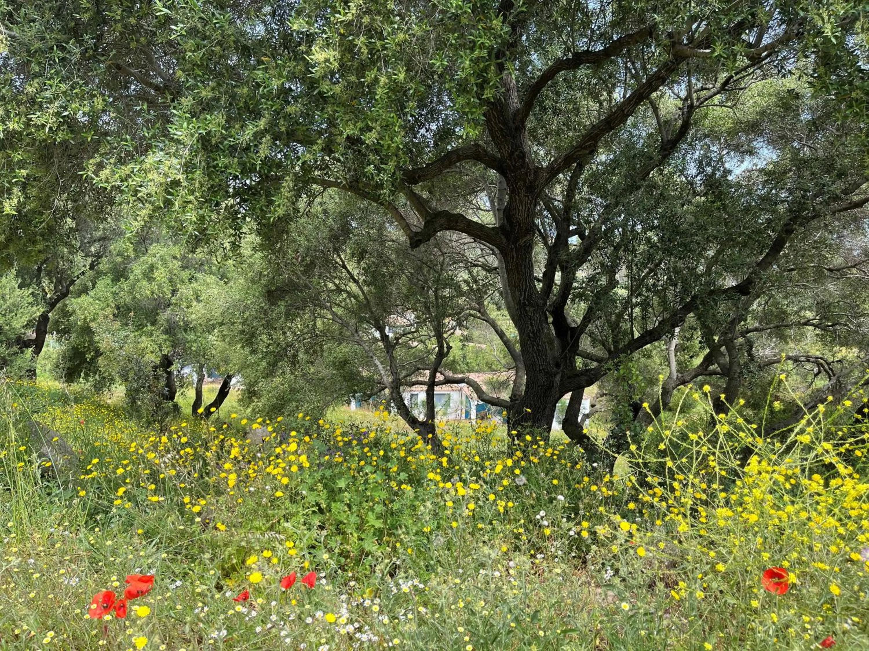 Property building in Hotel Baia Cea