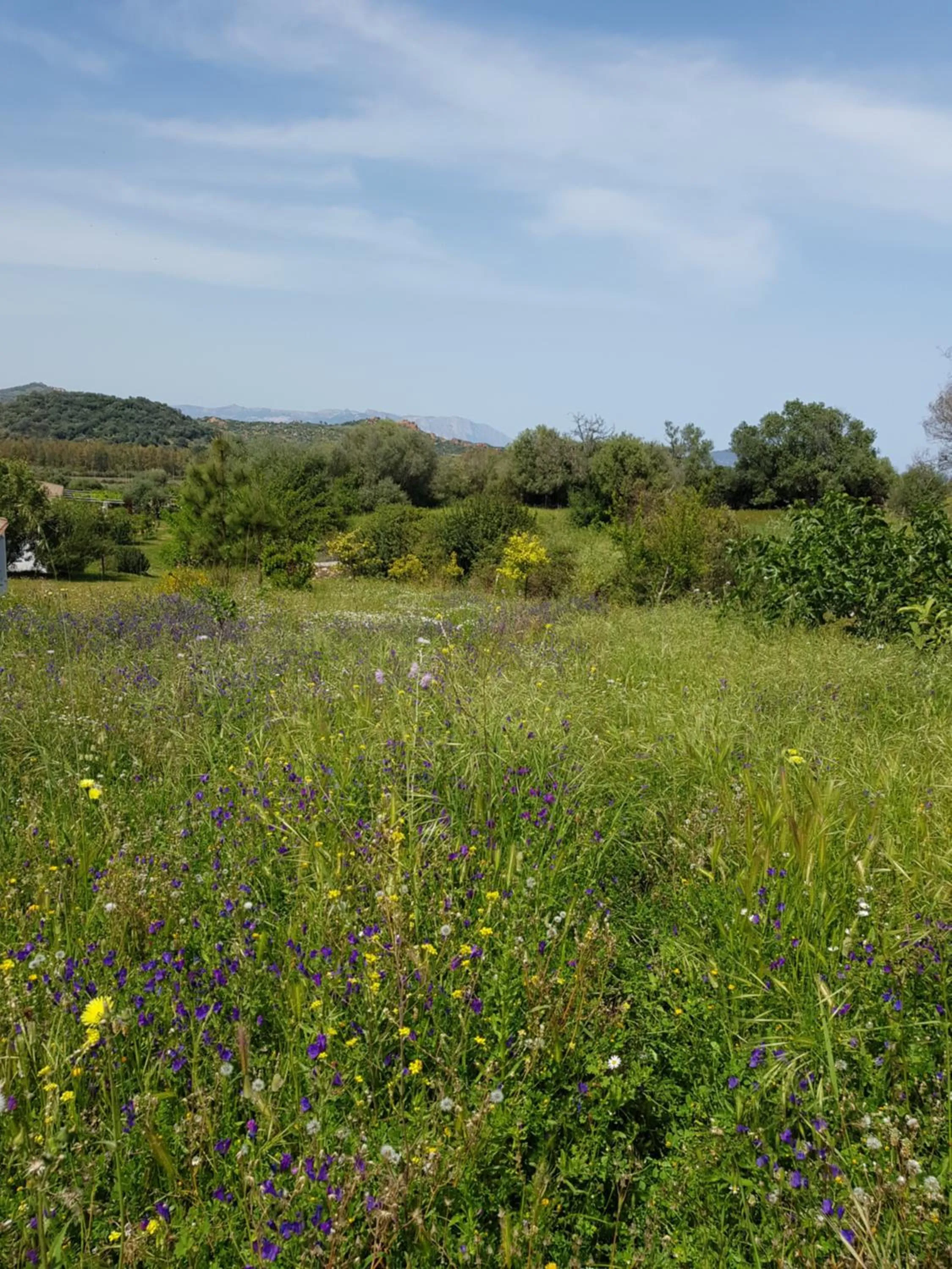 Garden view in Hotel Baia Cea