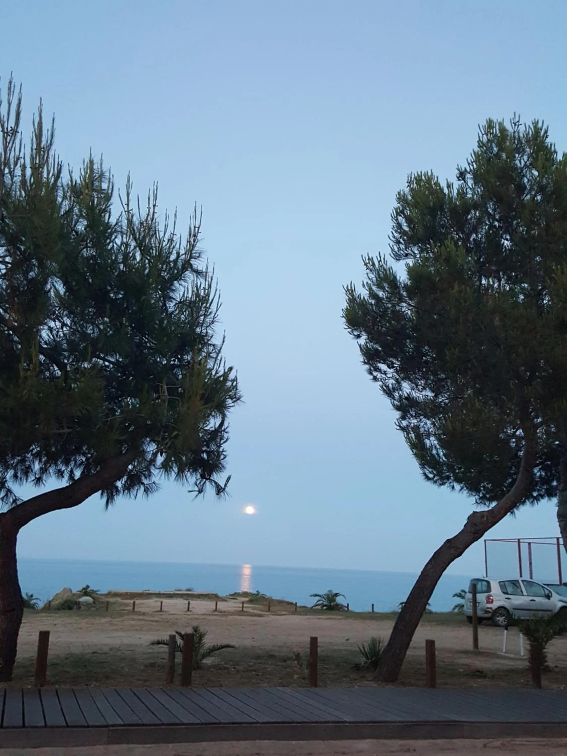 Restaurant/places to eat in Hotel Baia Cea