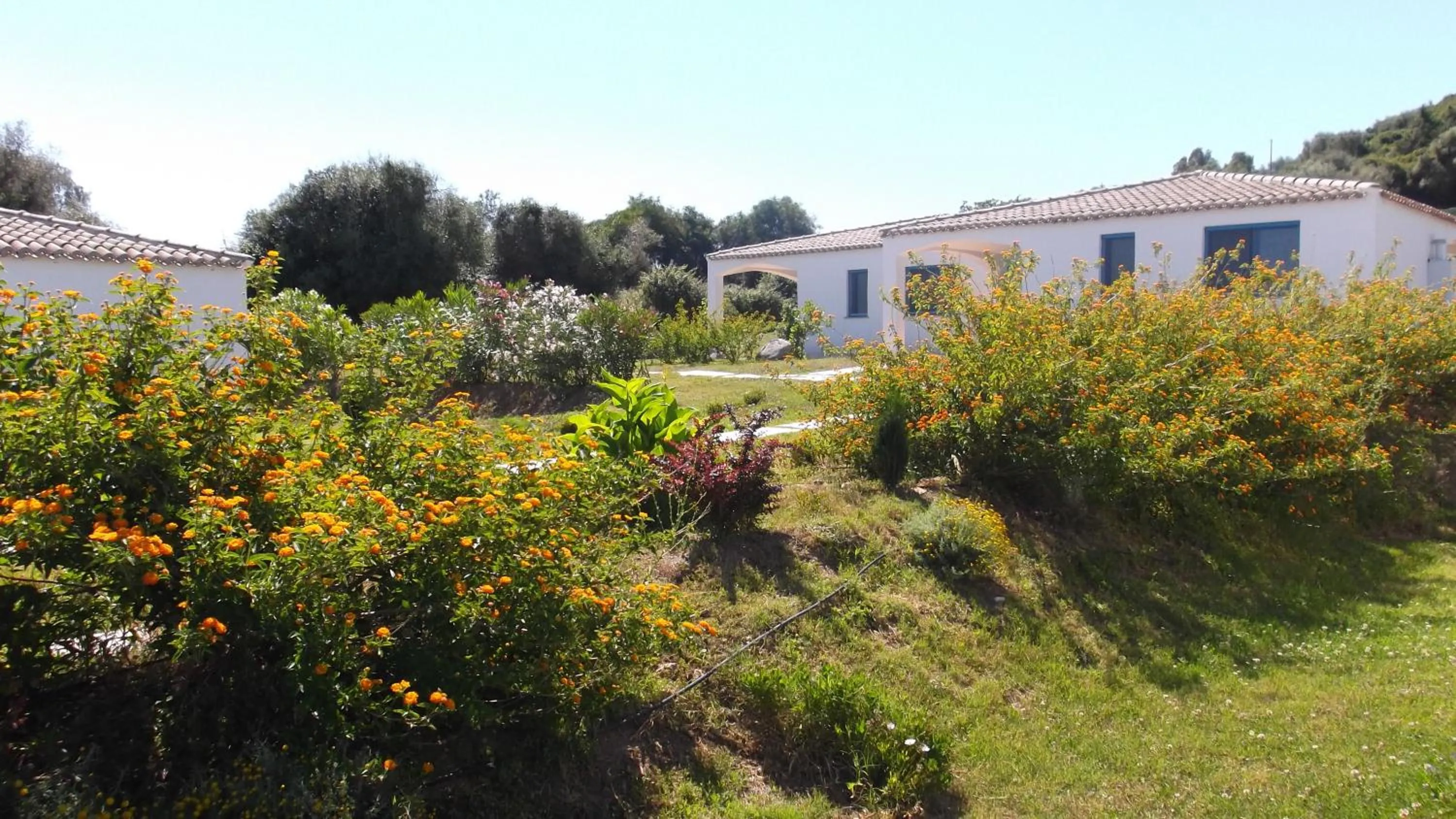 Garden in Hotel Baia Cea