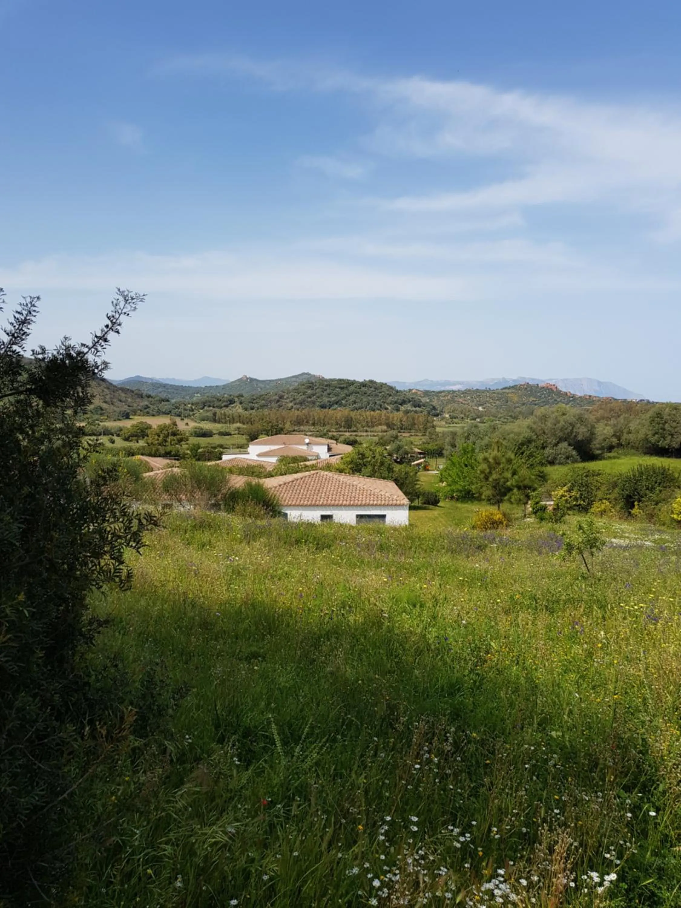 Property building in Hotel Baia Cea