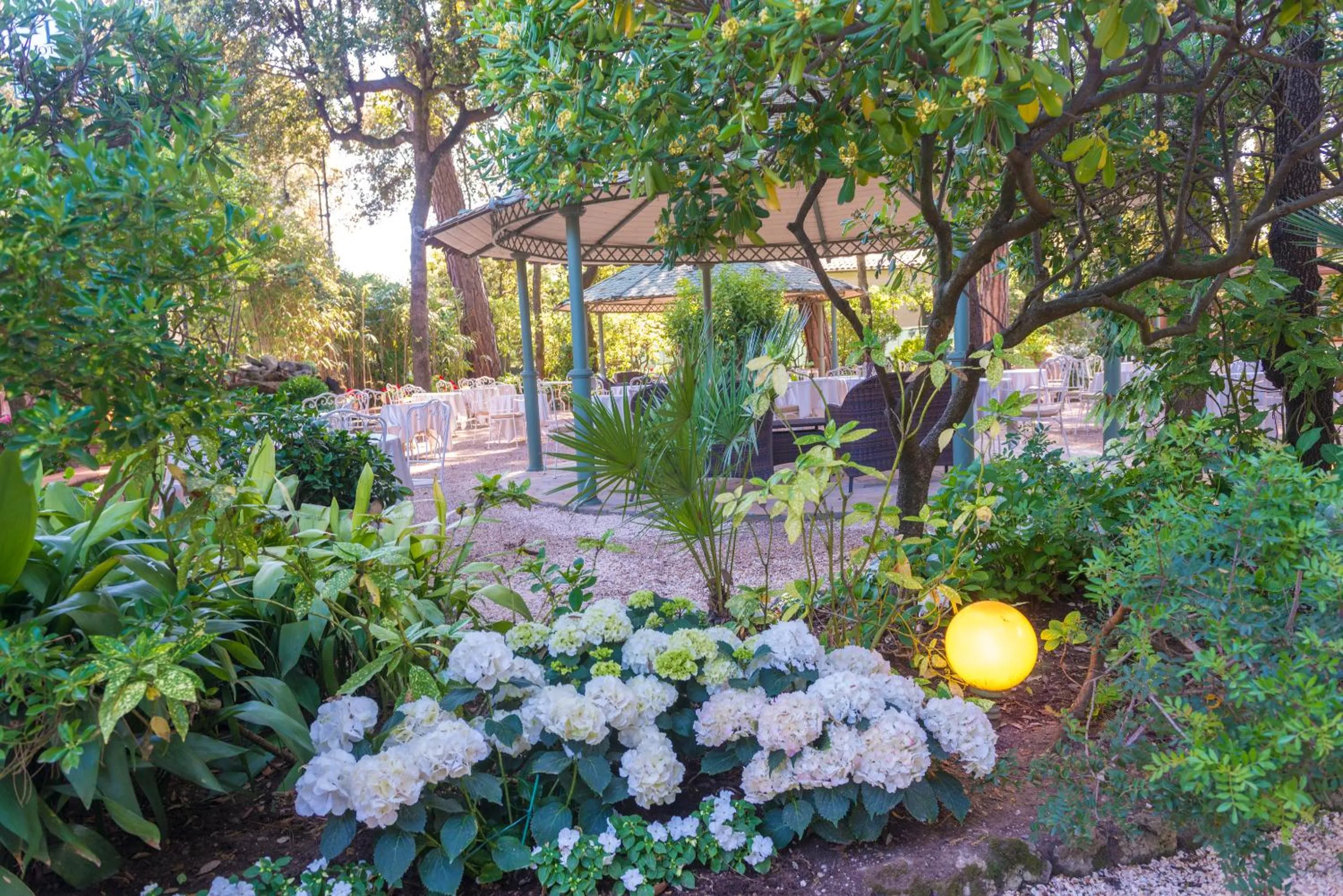 Garden in Hotel Villa Tiziana