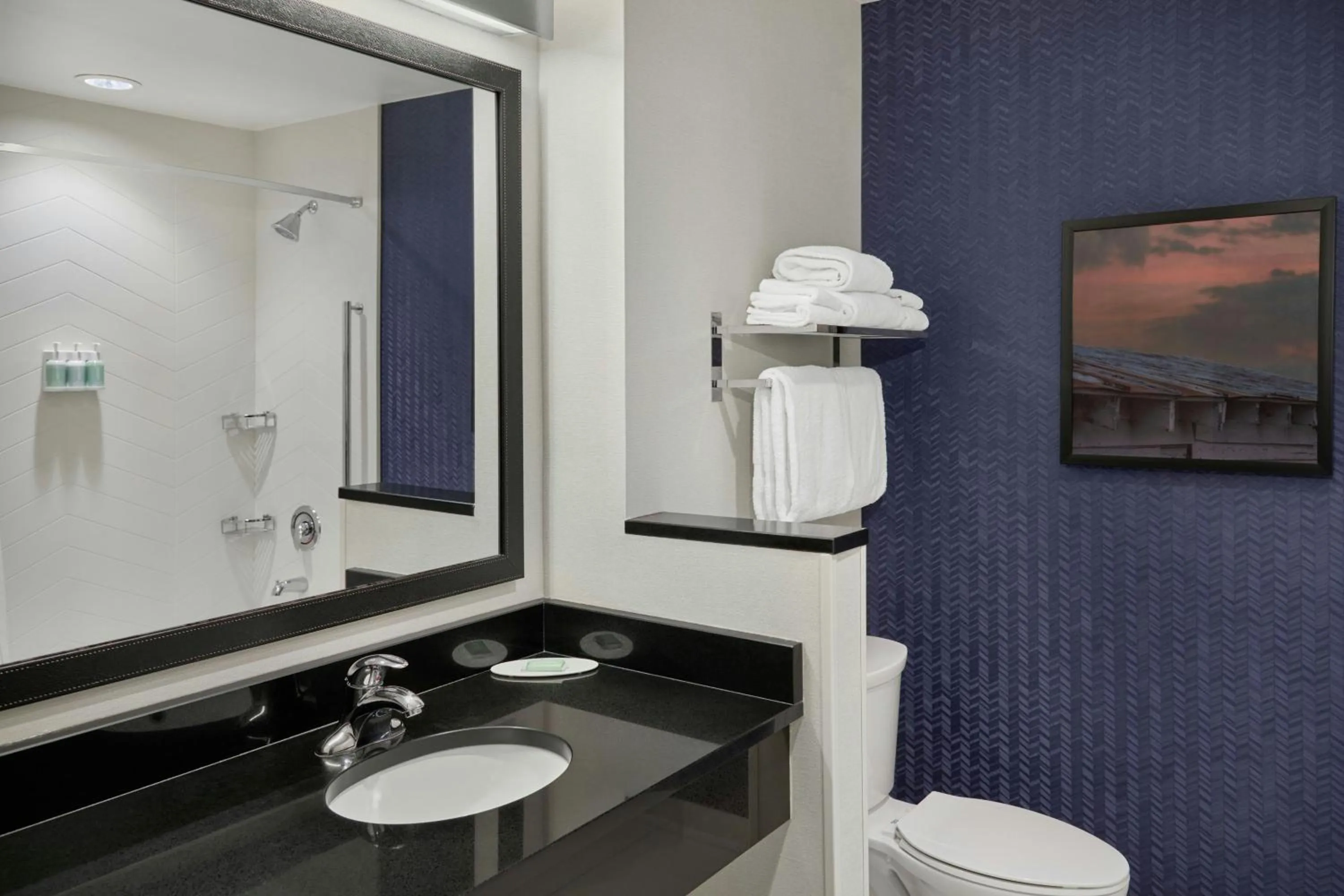 Bathroom in Fairfield Inn & Suites by Marriott Charlotte Airport
