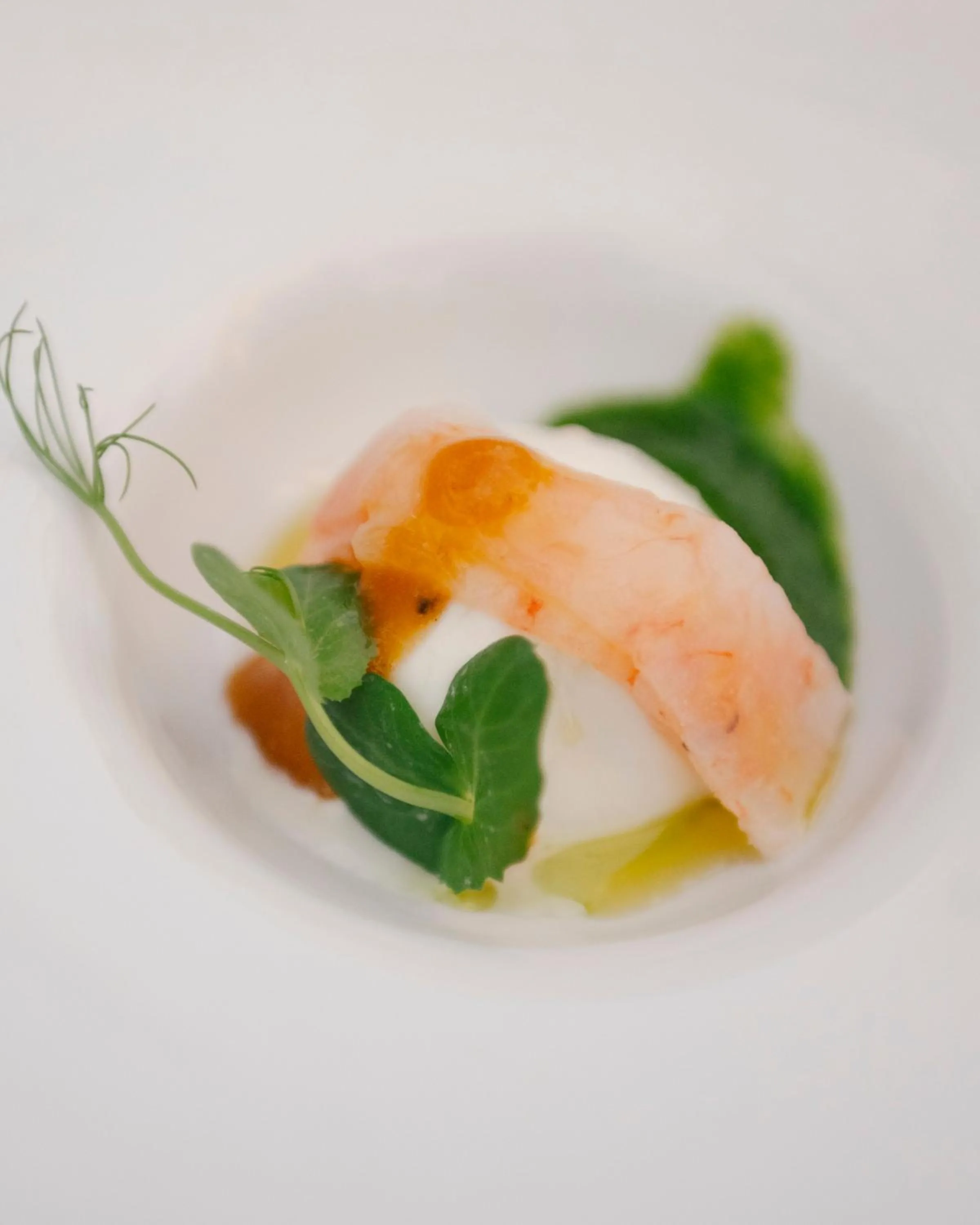 Restaurant/places to eat in Palazzo Caracciolo Naples