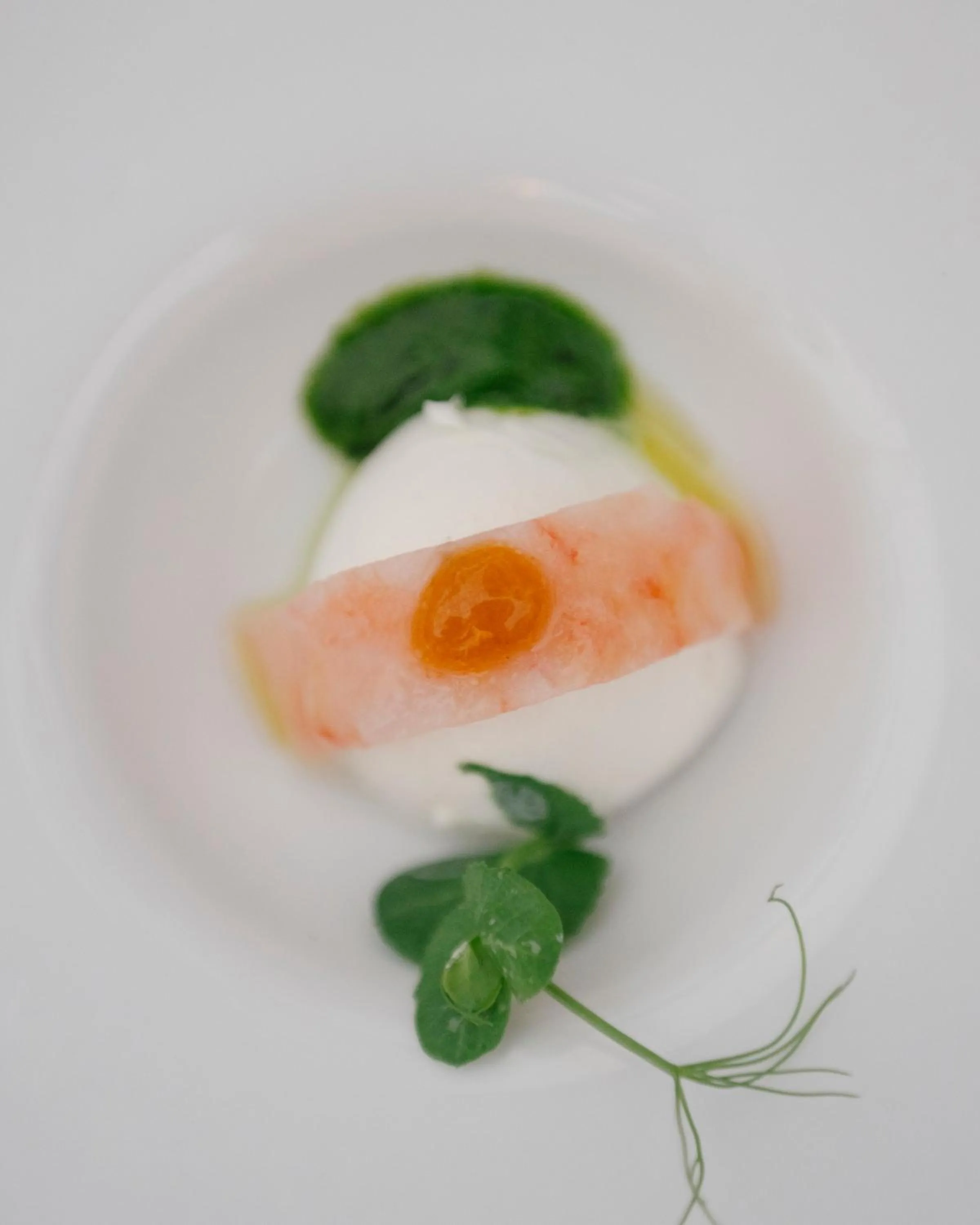 Restaurant/places to eat in Palazzo Caracciolo Naples