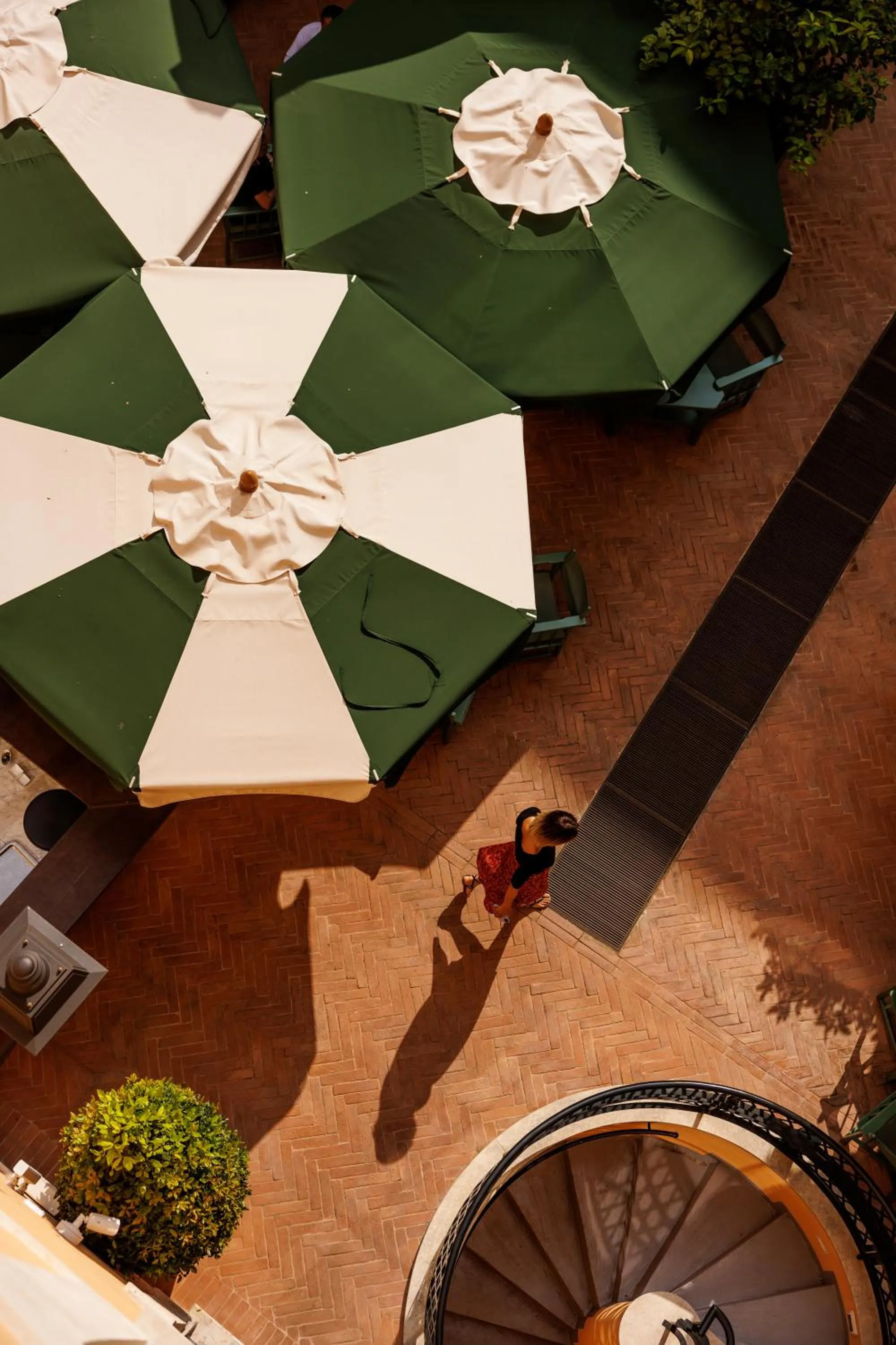Garden in Palazzo Ripetta