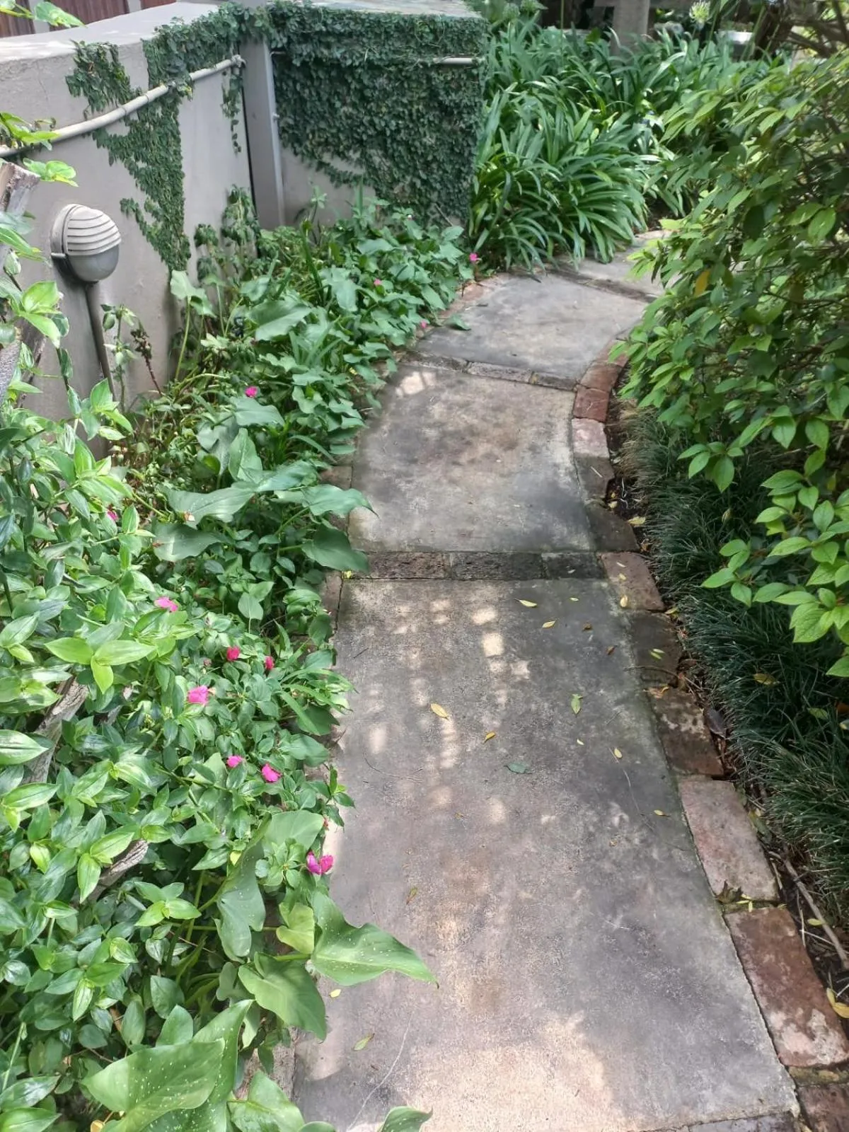 Spring in J'Cups Guest House