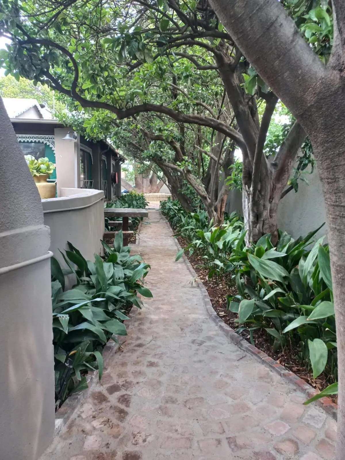 Spring in J'Cups Guest House