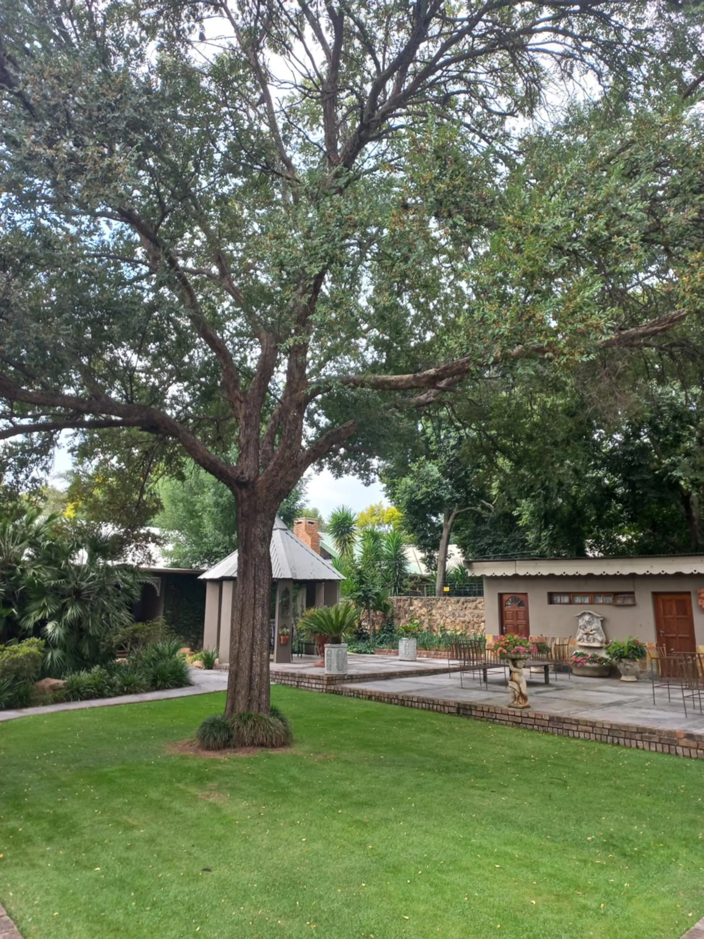 Natural landscape in J'Cups Guest House