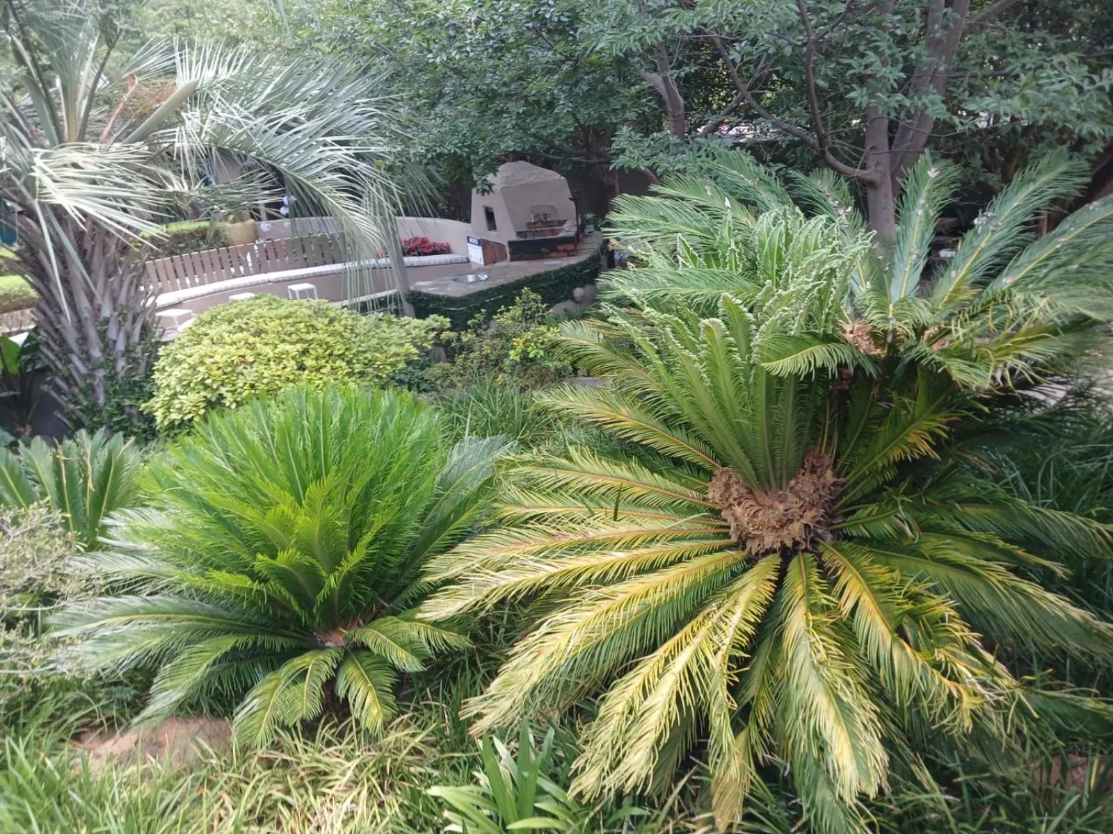 Day in J'Cups Guest House