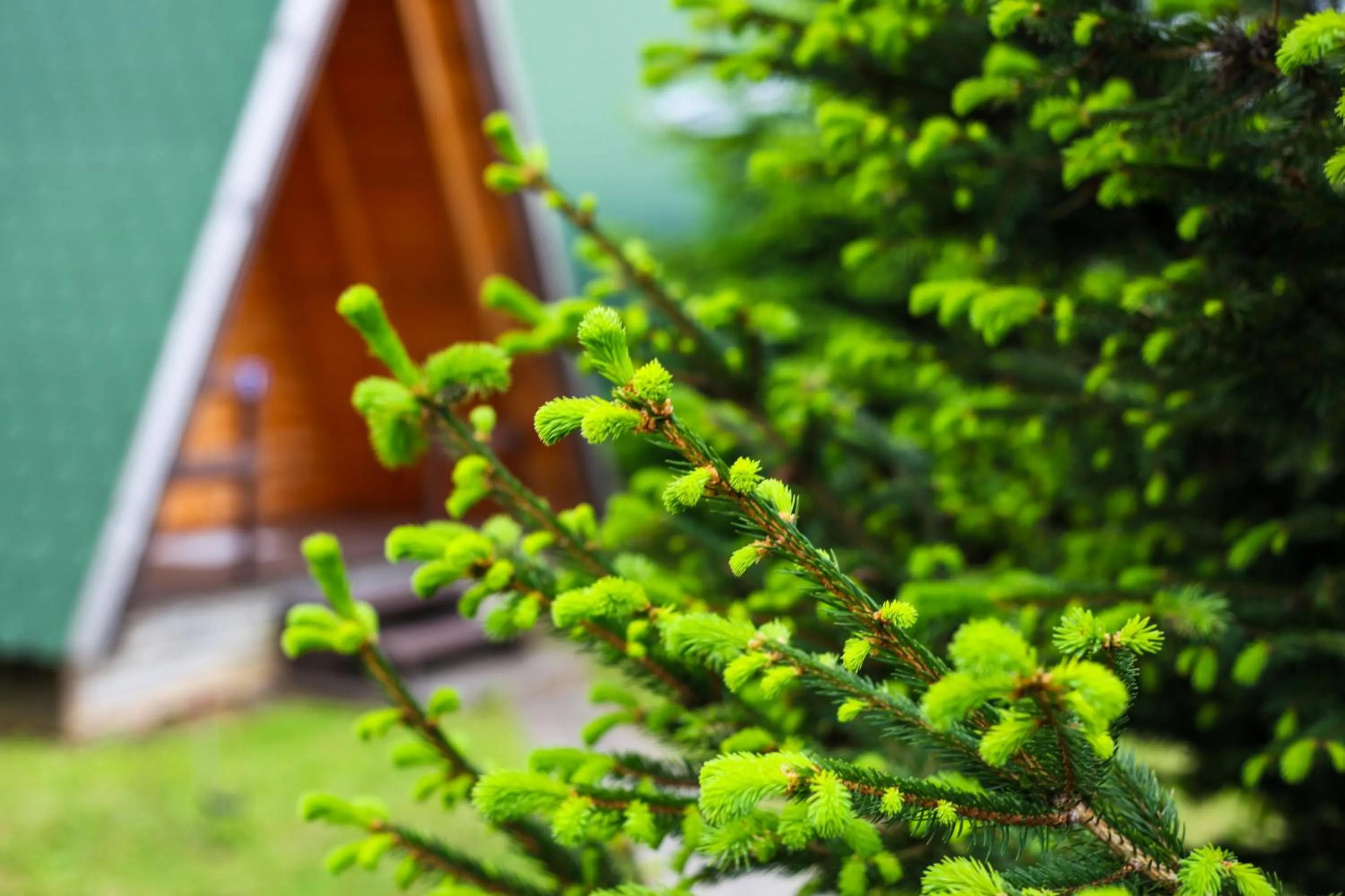 Rooms & Glamping Lana Haus